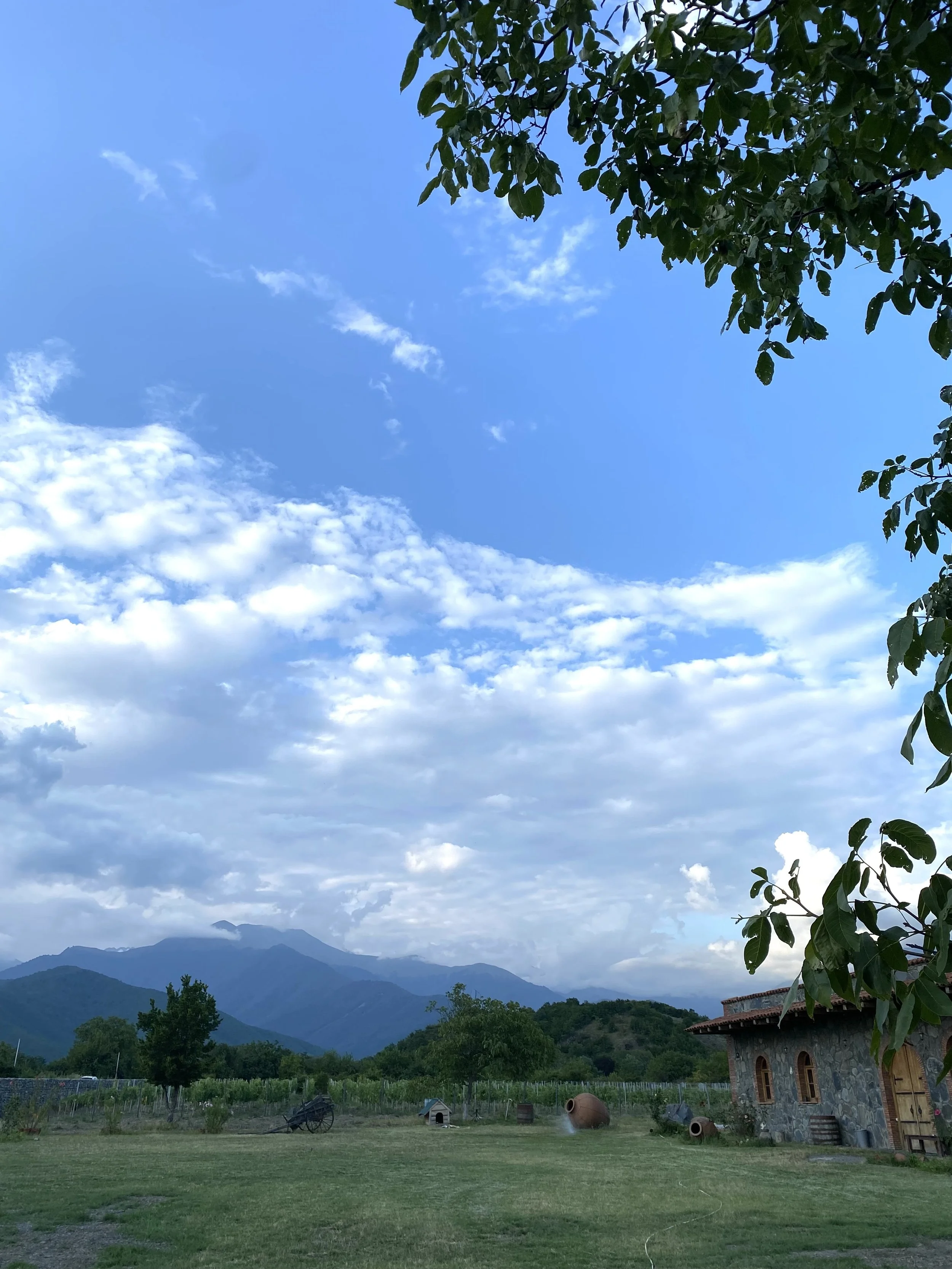 7 days - Wine Focused Tour