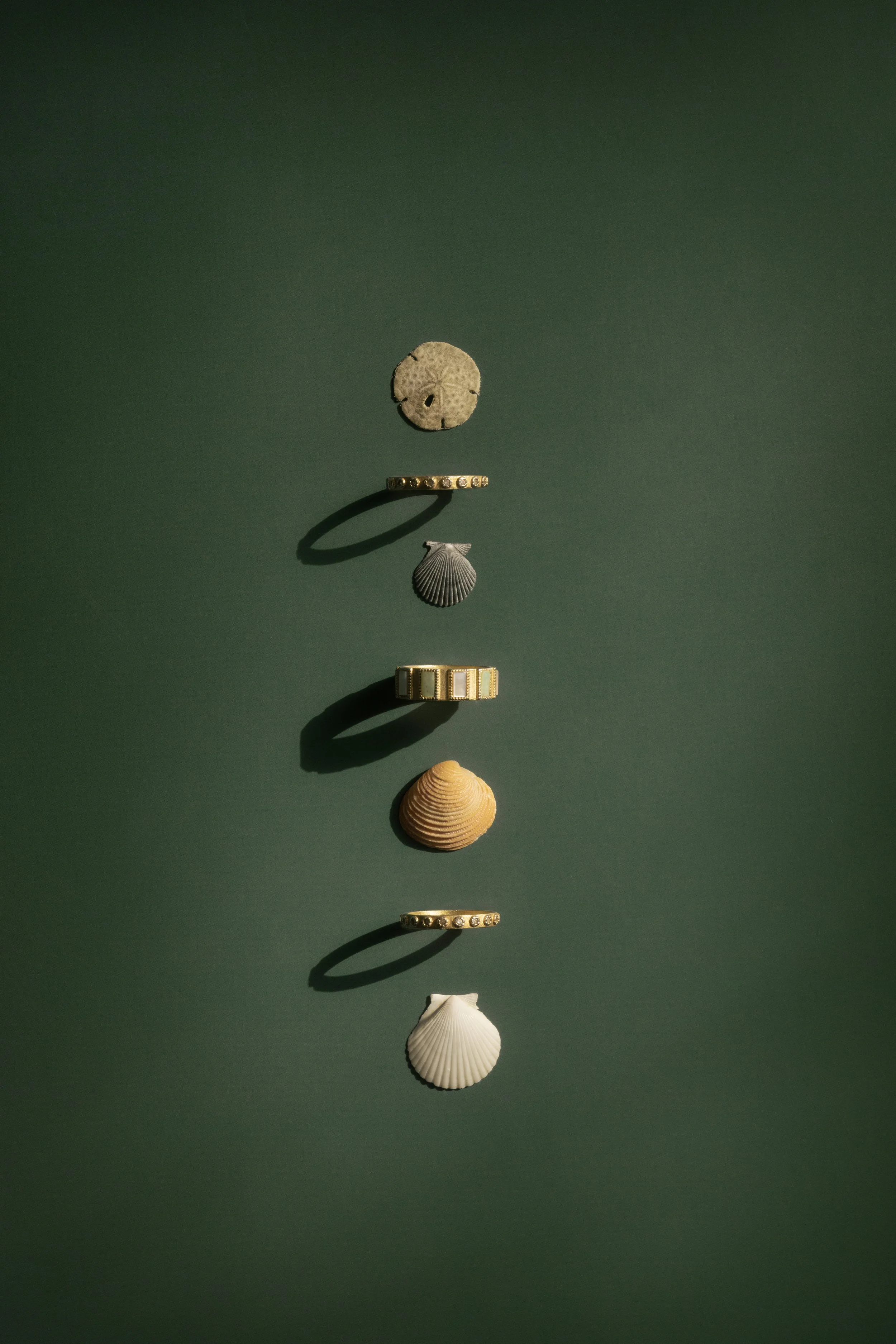 A vertical arrangement of seashells, gold rings, and jewelry on a green background, with shadows cast by the objects.