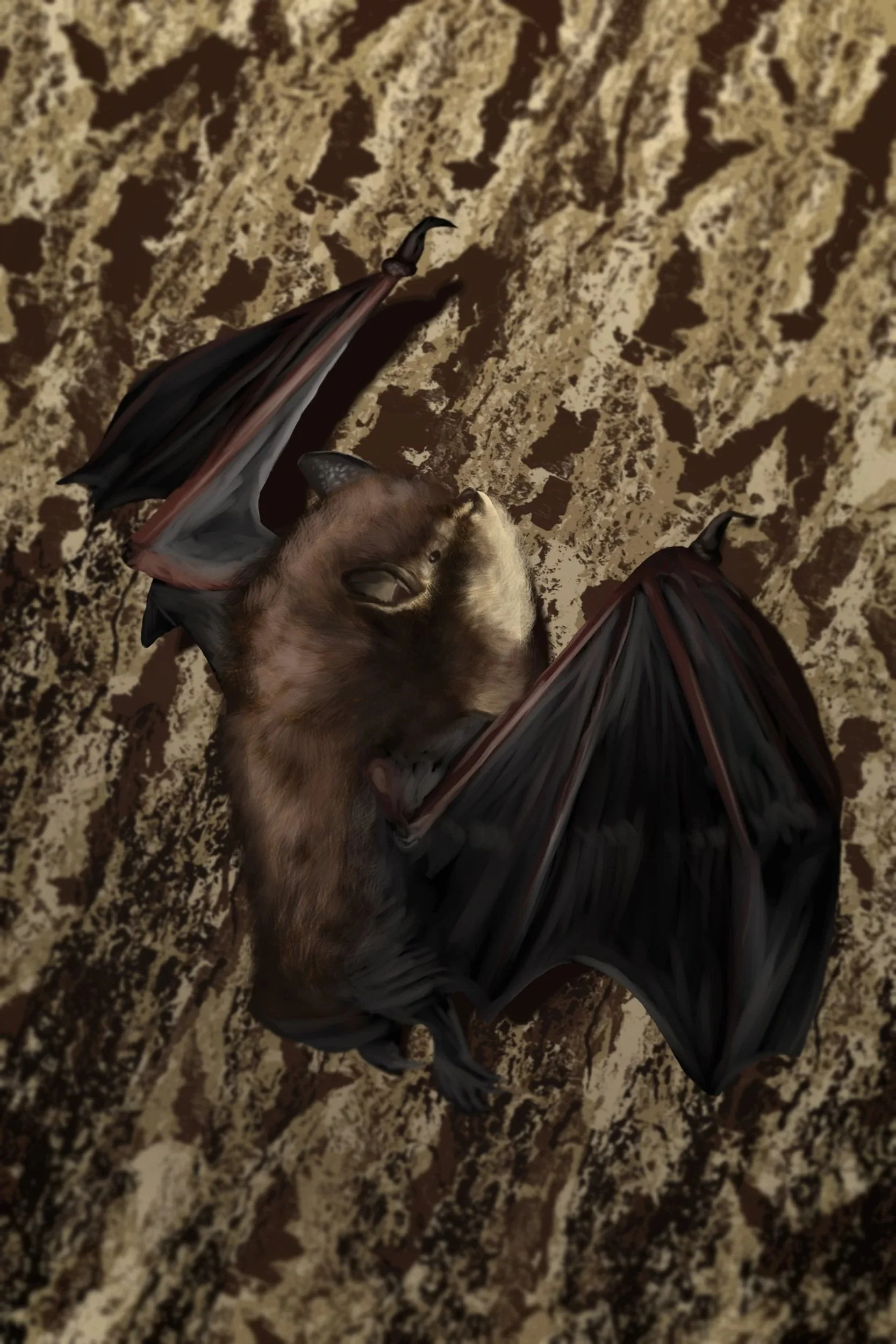 Little Brown Bat Painting