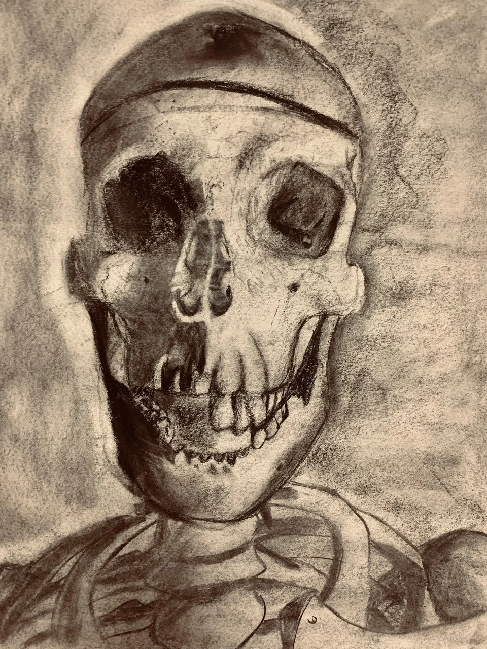 Figure drawing of a skeleton's head