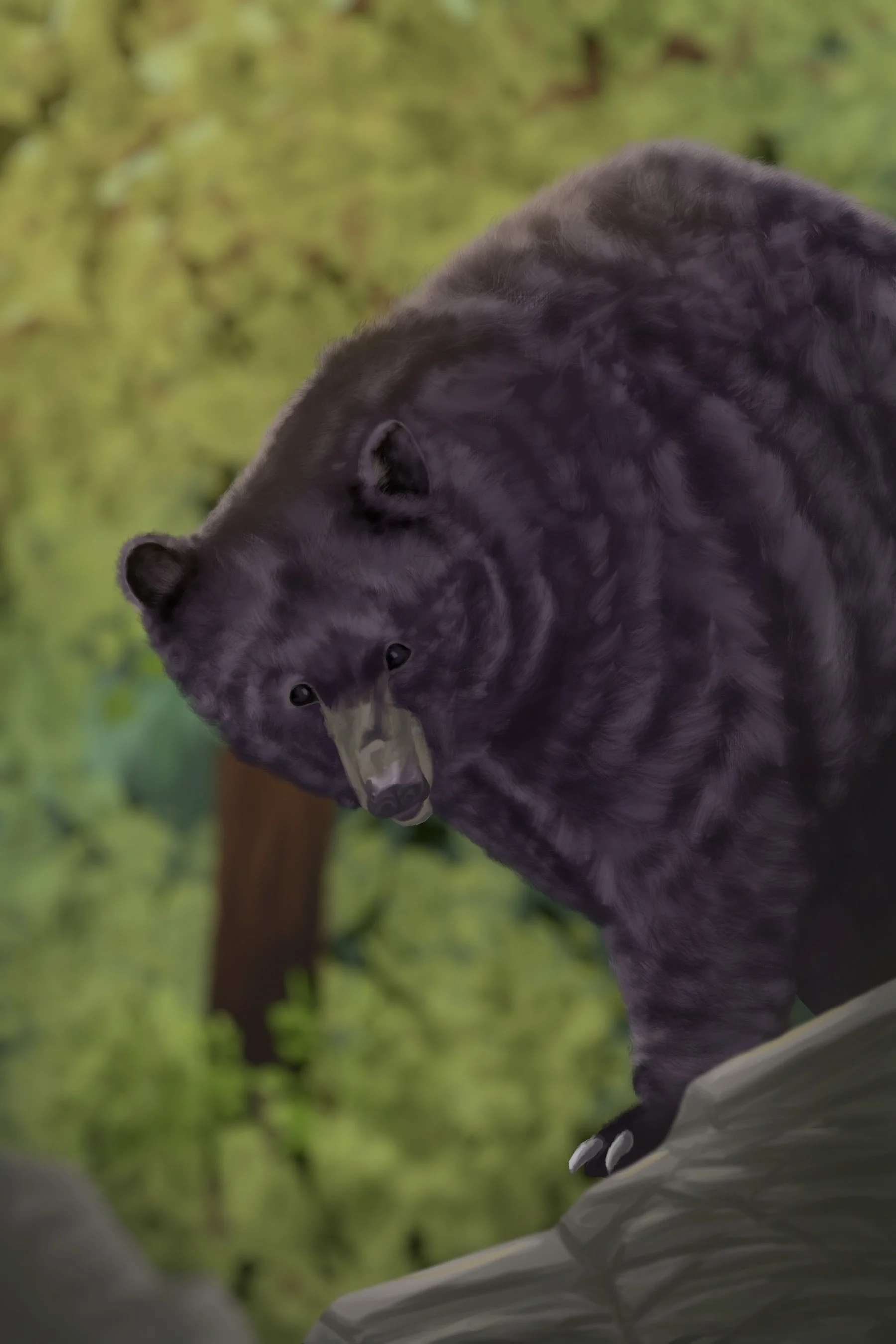 Black Bear Painting