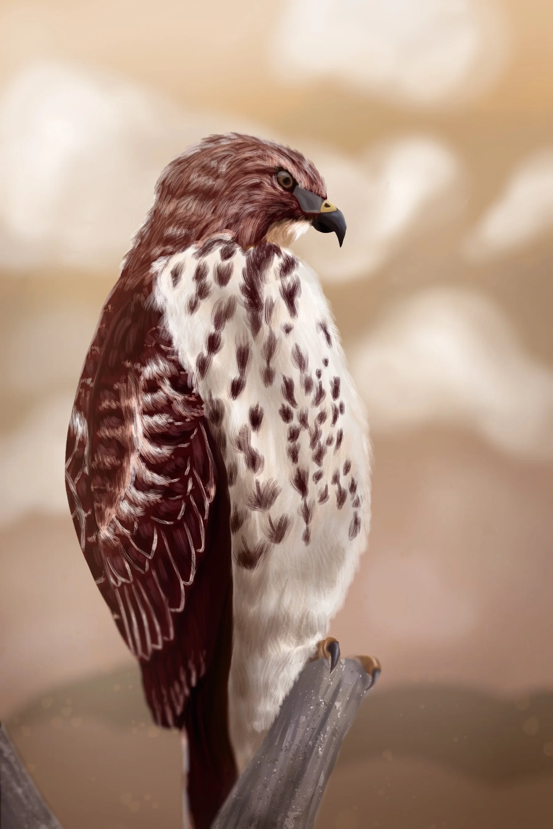 Broad-Winged Hawk Painting