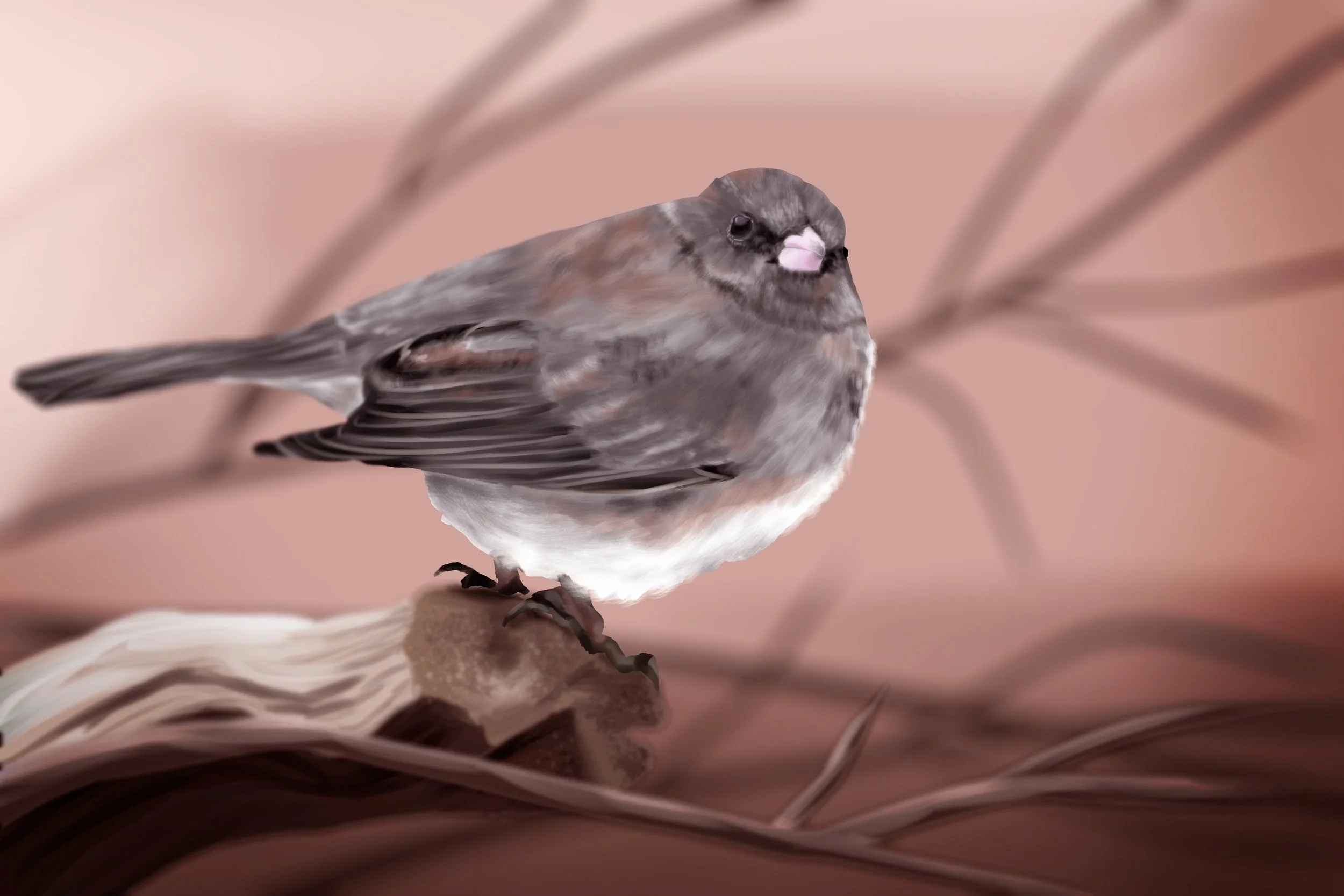 Dark-Eyed Junco Painting