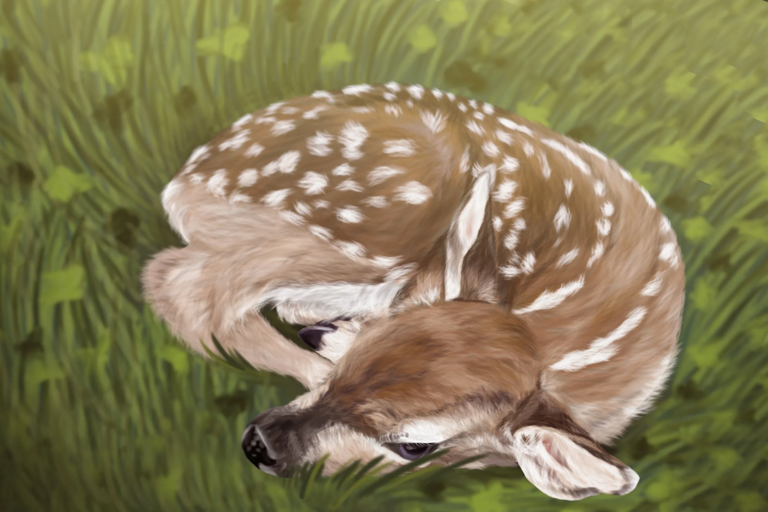 Deer Fawn Painting