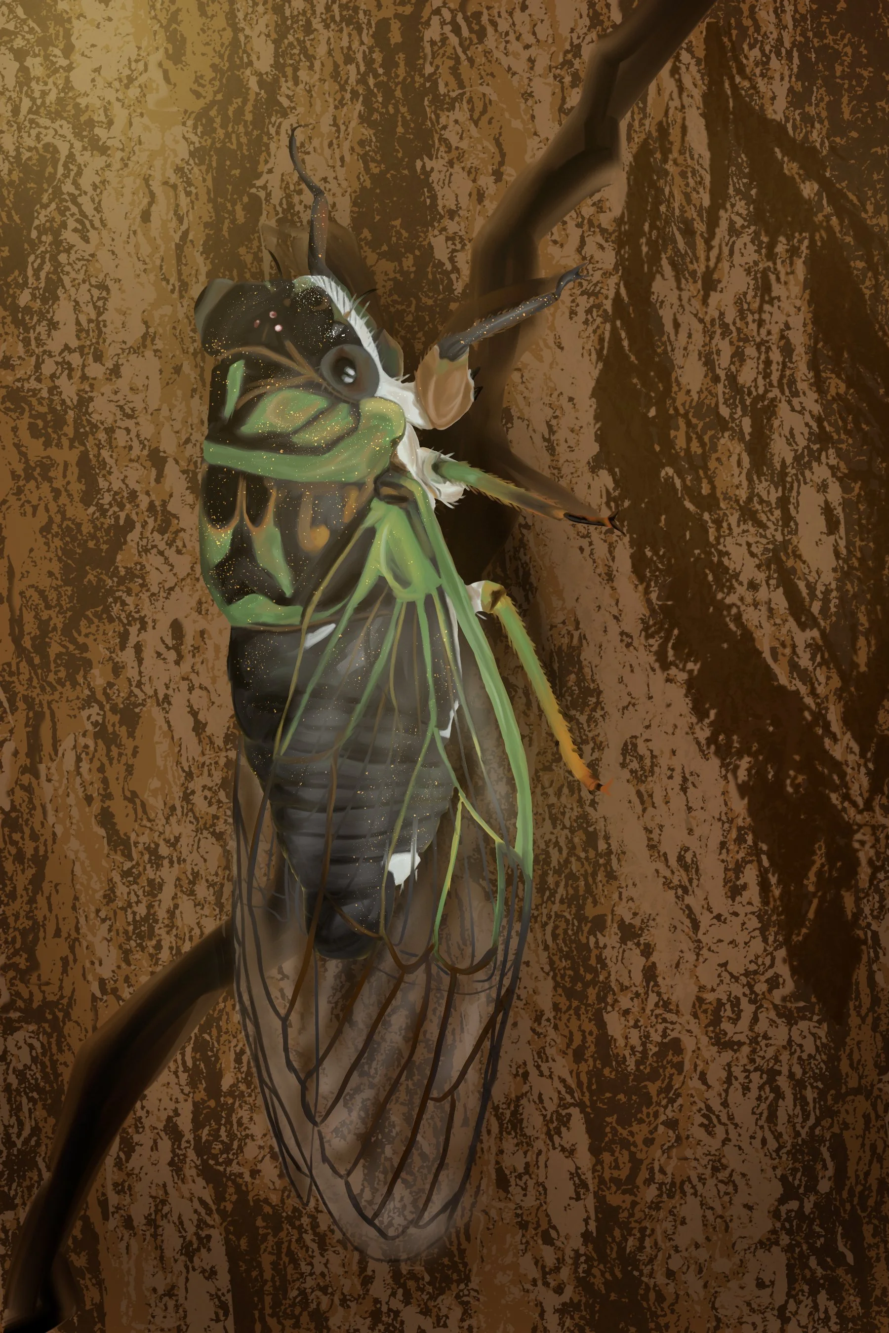 Cicada Painting