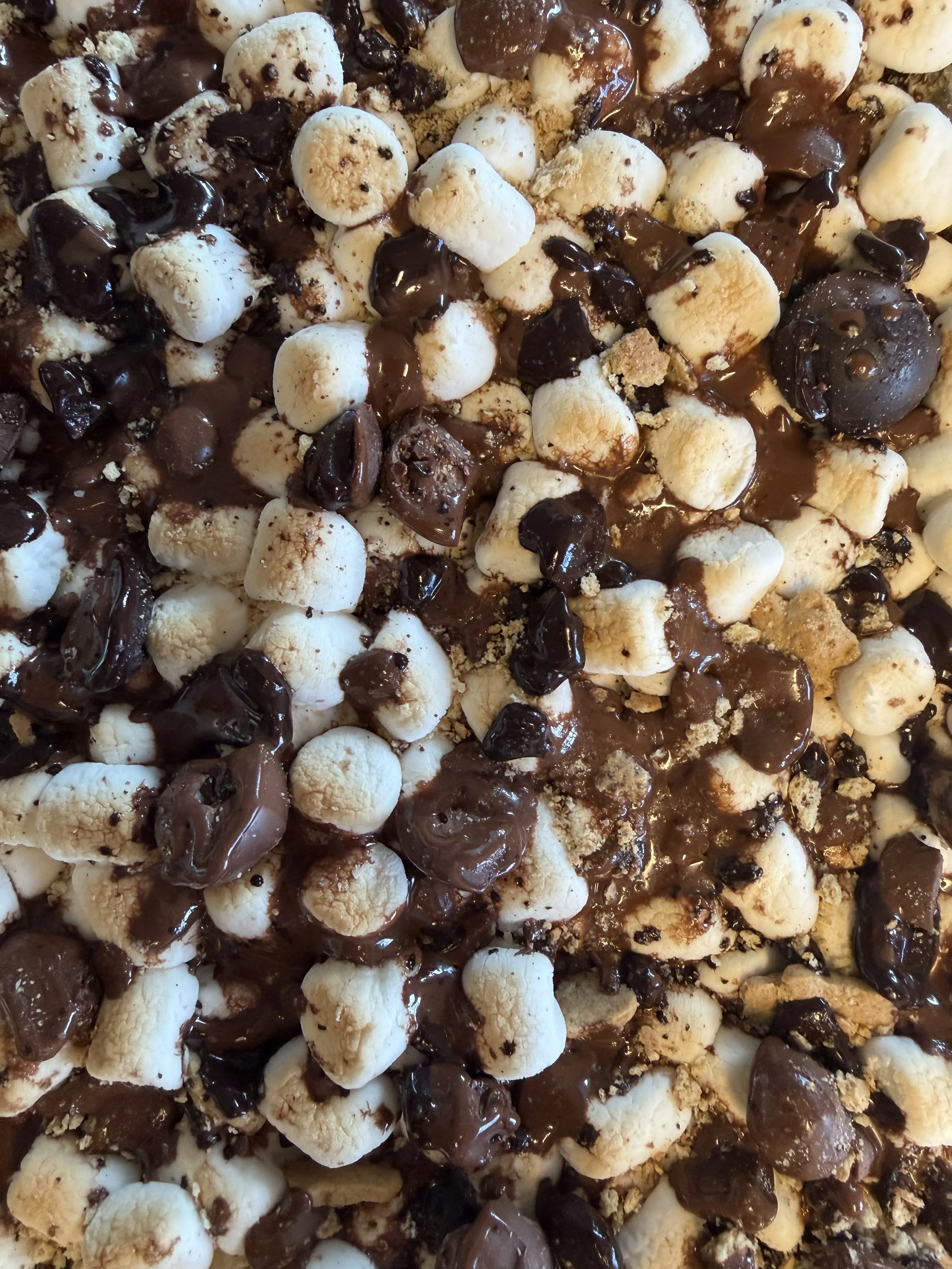 Close-up of Chocollette's Smore's Bark