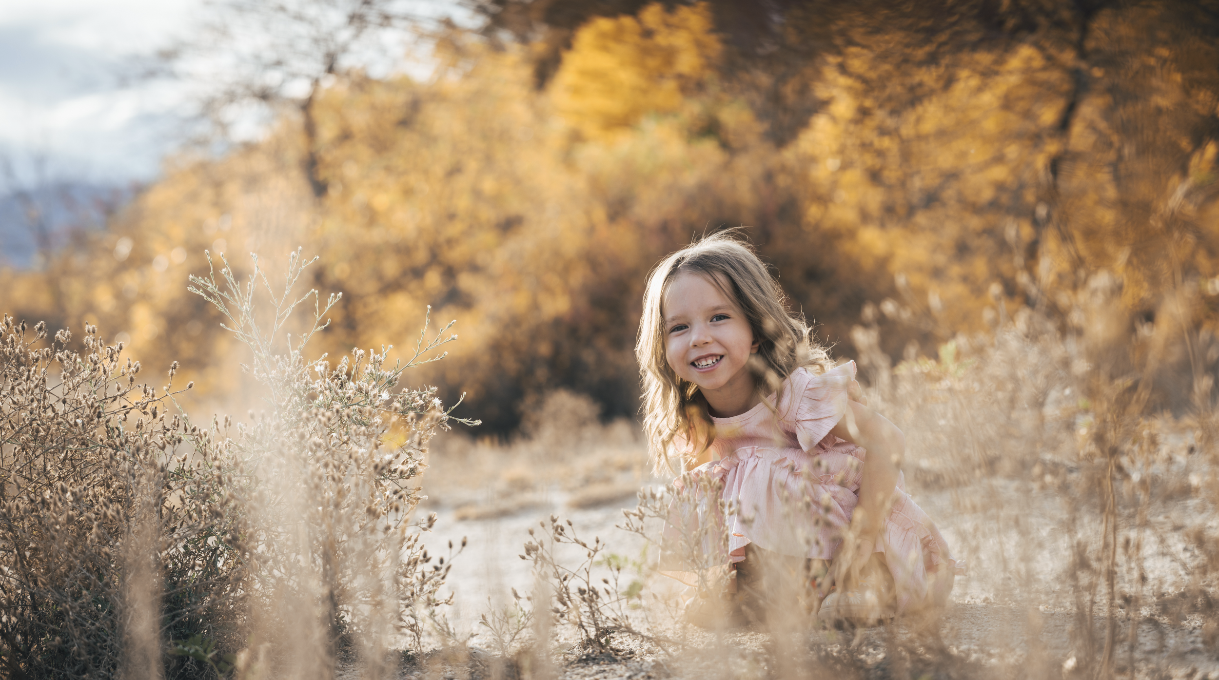 Screenshot 2026-07-25 at 12.31.58 PM.png