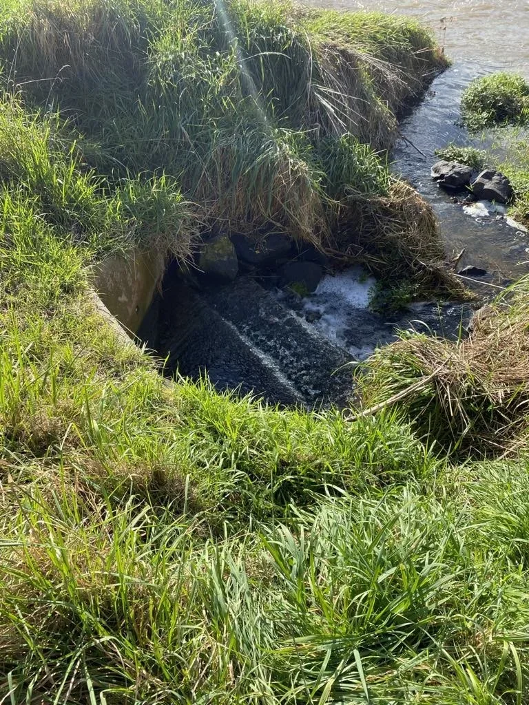 before, after, overgrown, grass, kerb, water