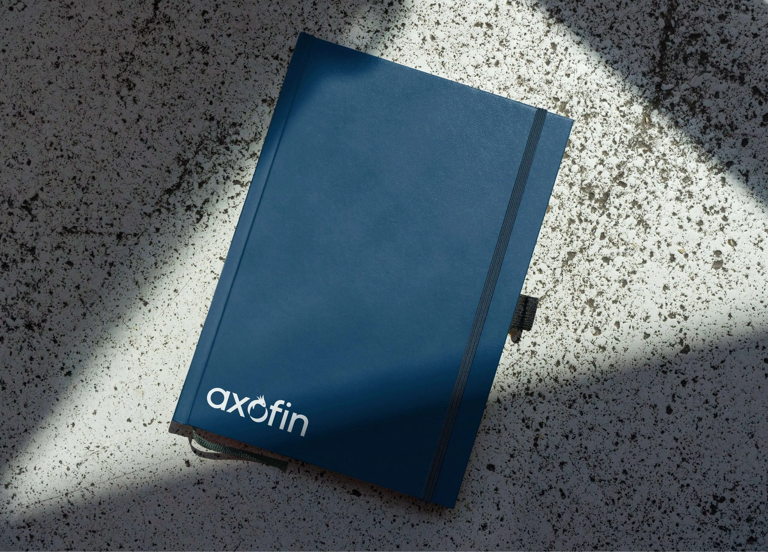 axofin_case_study_1-9.jpg