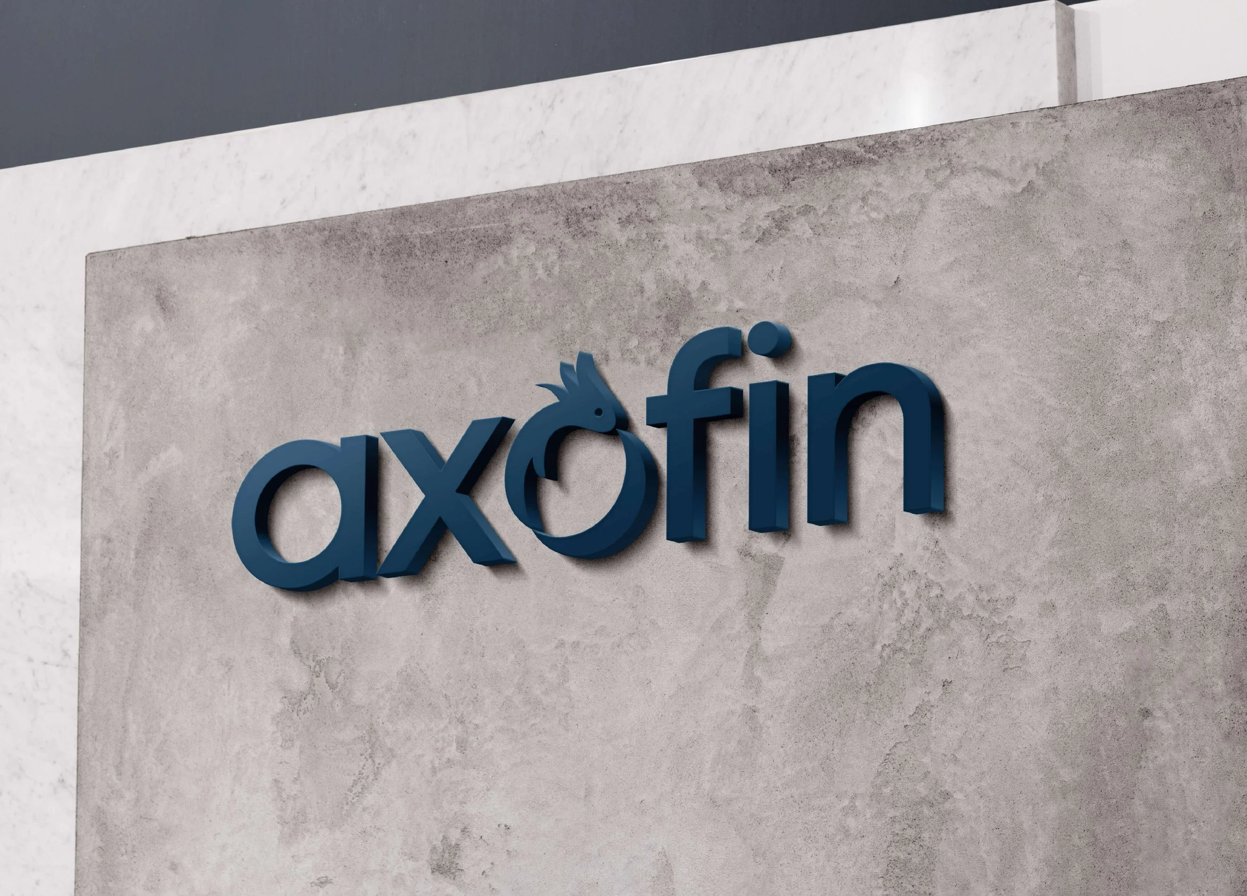 axofin_case_study_1-5.jpg