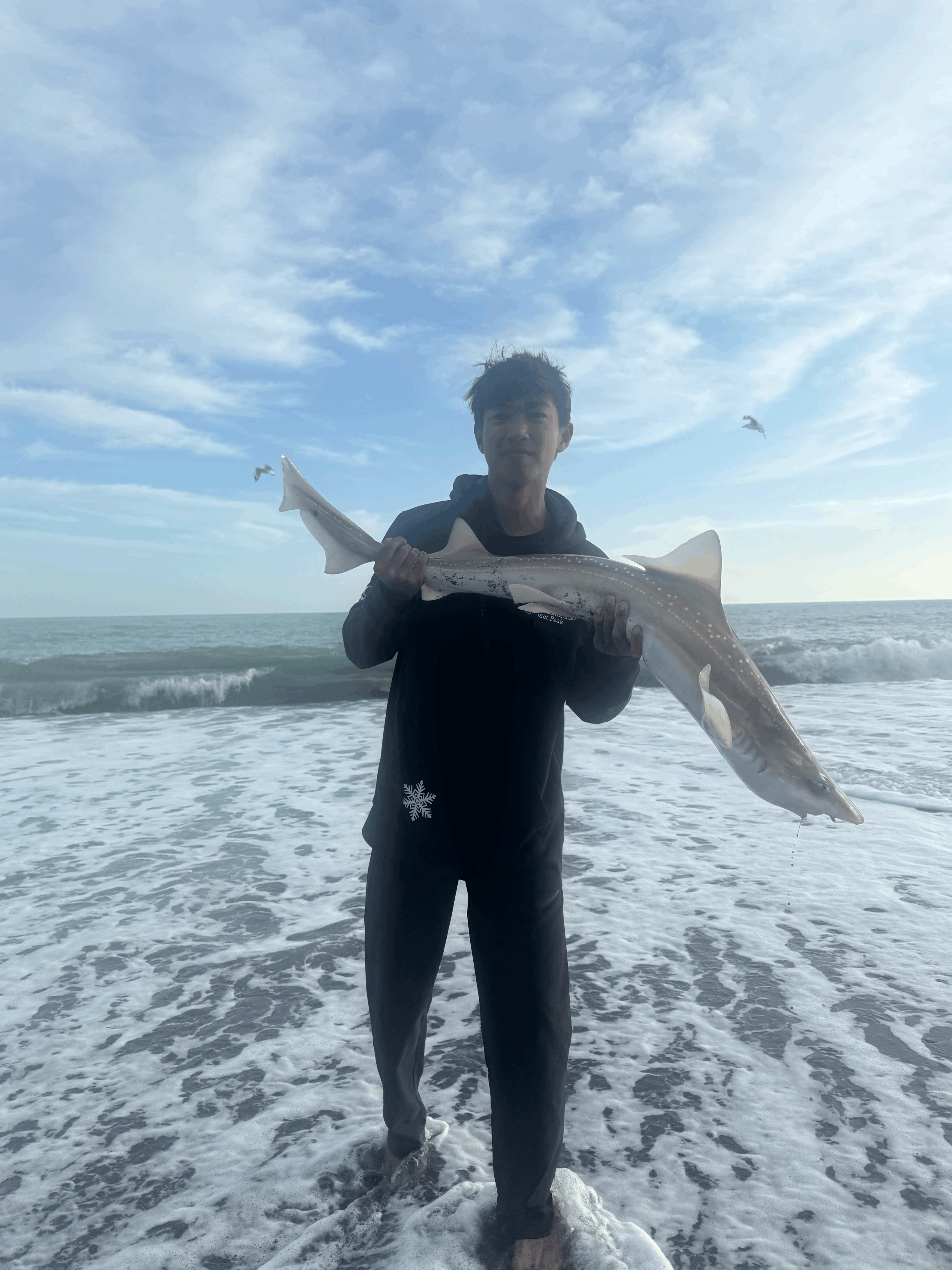 tempImagebmZb6X.gif