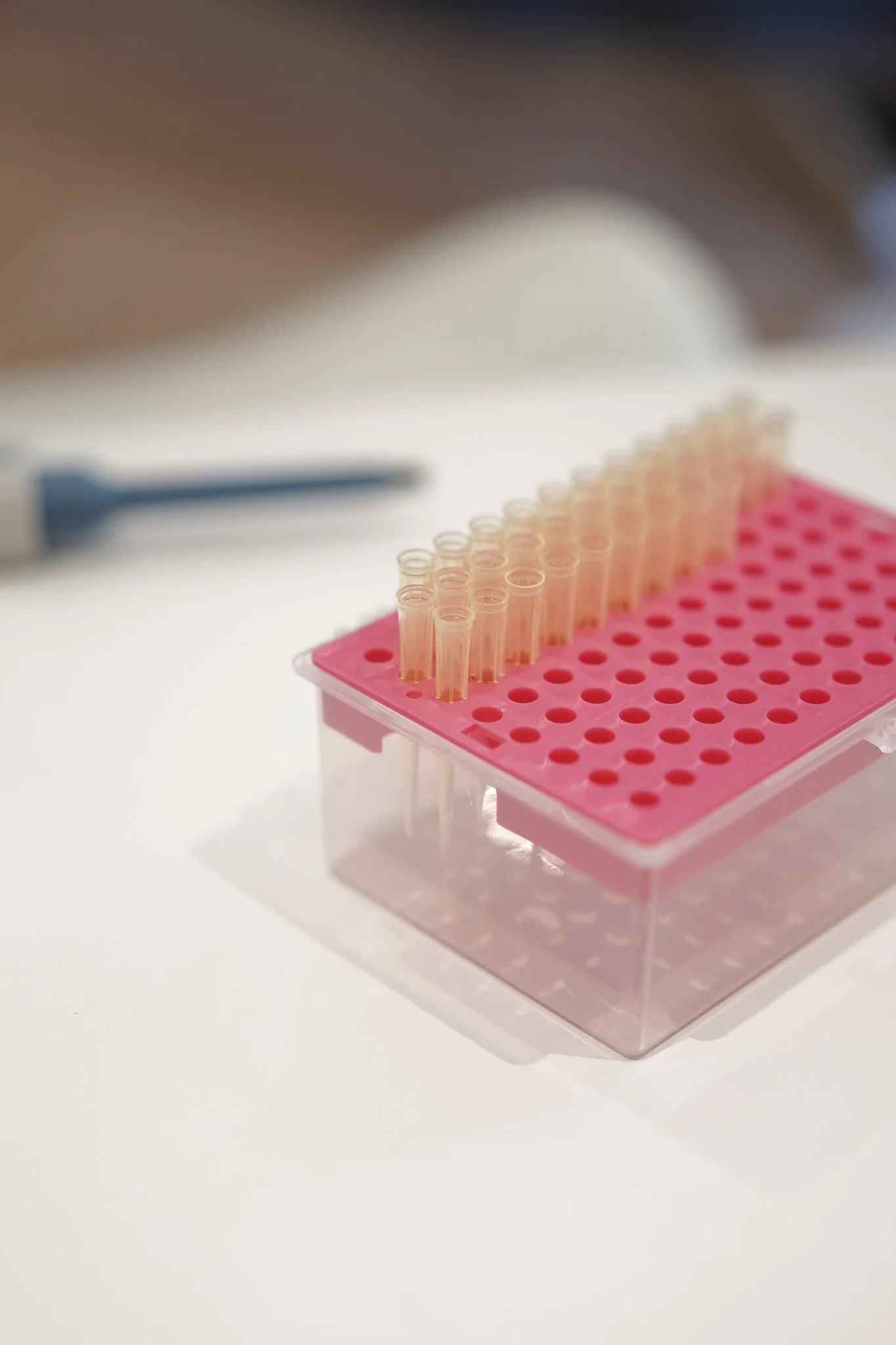 Laboratory test tubes in a pink rack on a white table with a pipette in the background.