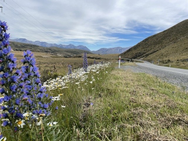 Most people don’t struggle with habit change because they lack motivation. It’s because life interrupts their best intentions — and they don’t know what to do next.