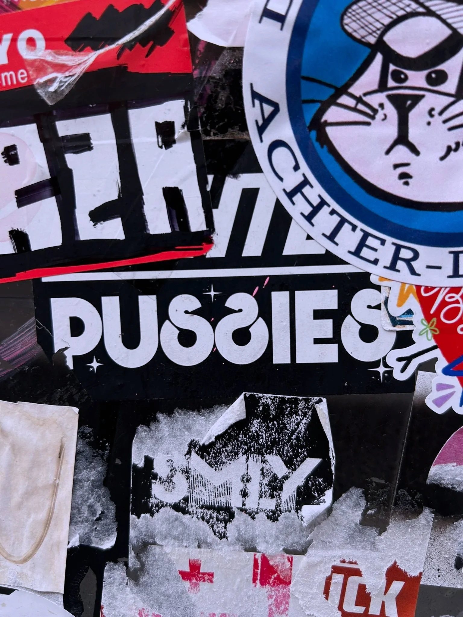 A collage of torn stickers and posters, including a cartoon panther on a circular badge, the reversed word "PUSSE" in white font on a black background, and various partially visible colorful stickers and paper scraps.