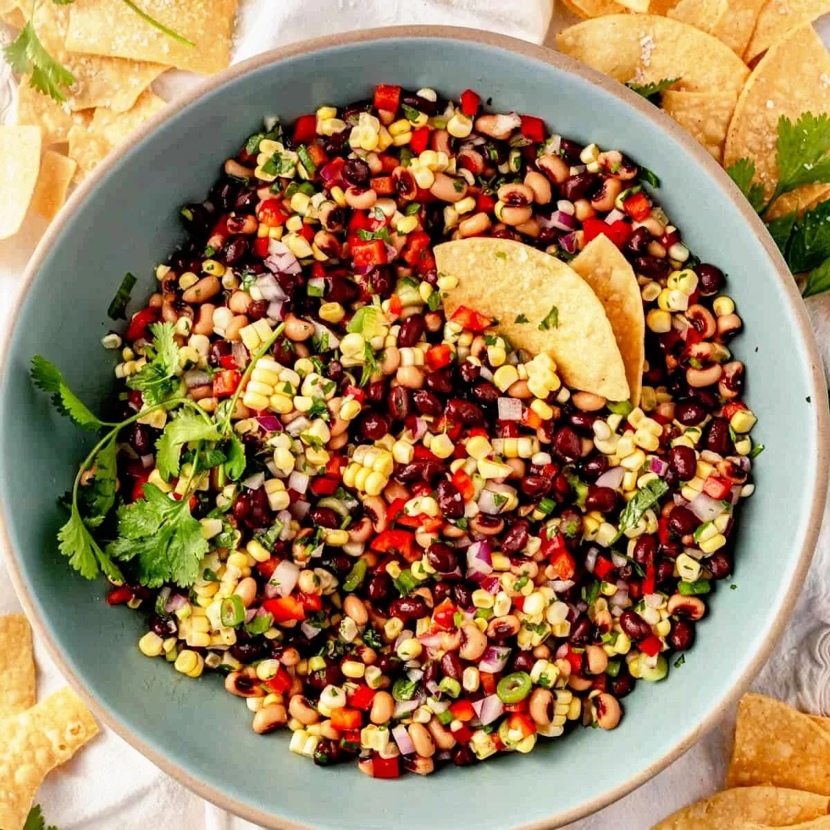 Black Bean &amp; Corn Dip