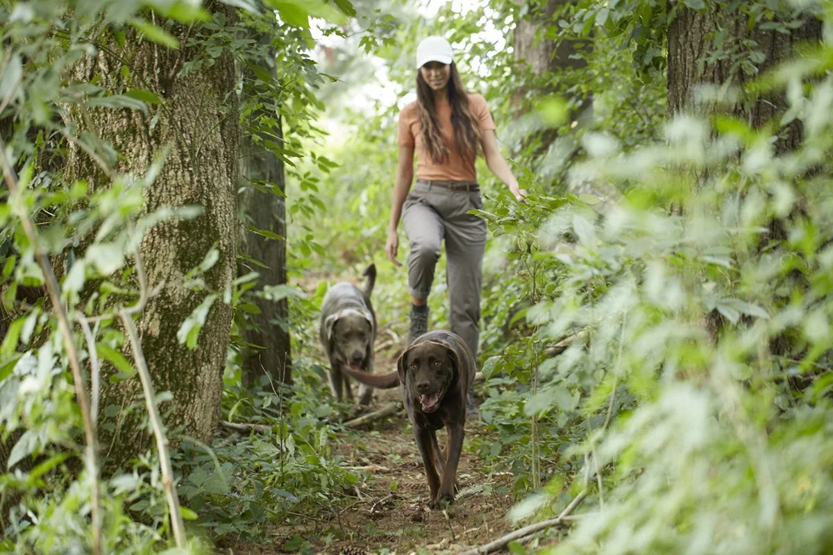 NR_Lg Dog_Hiking LR.jpg