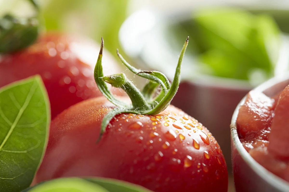 DicedTomatoes LR.jpg