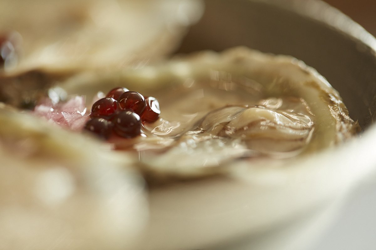 HungryBee_0358 LR.jpg