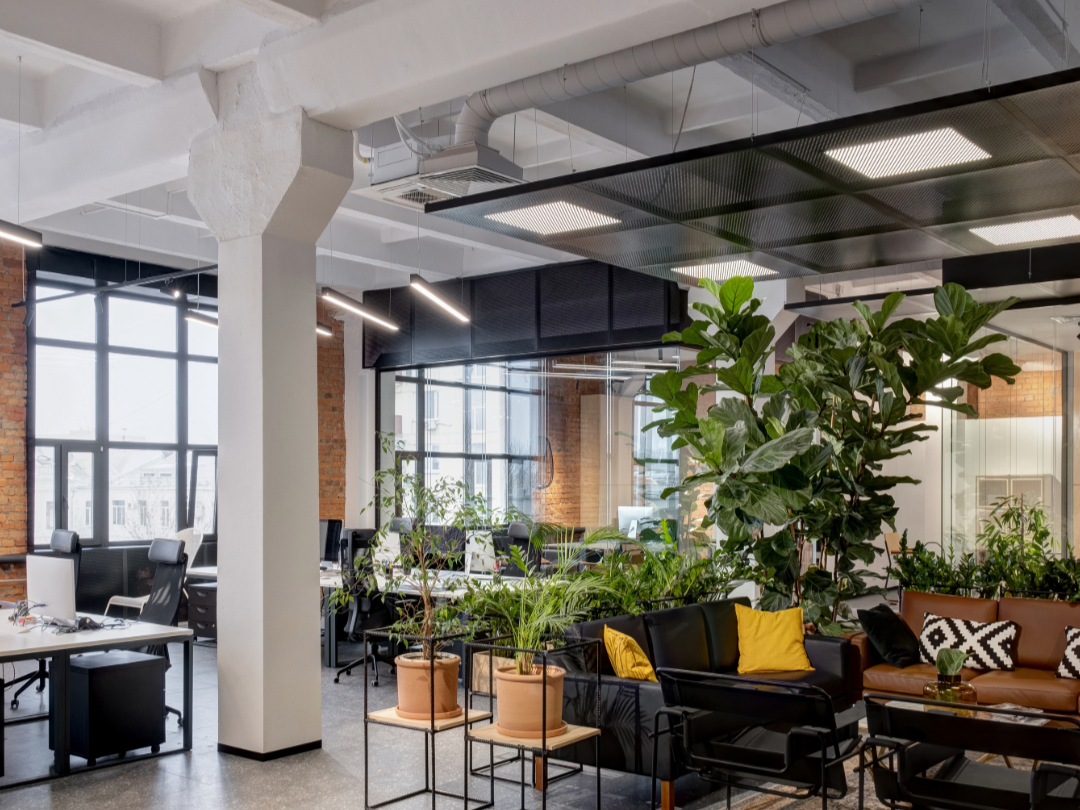 Commercial Property Purchases: How They Differ from a Residential Loan
