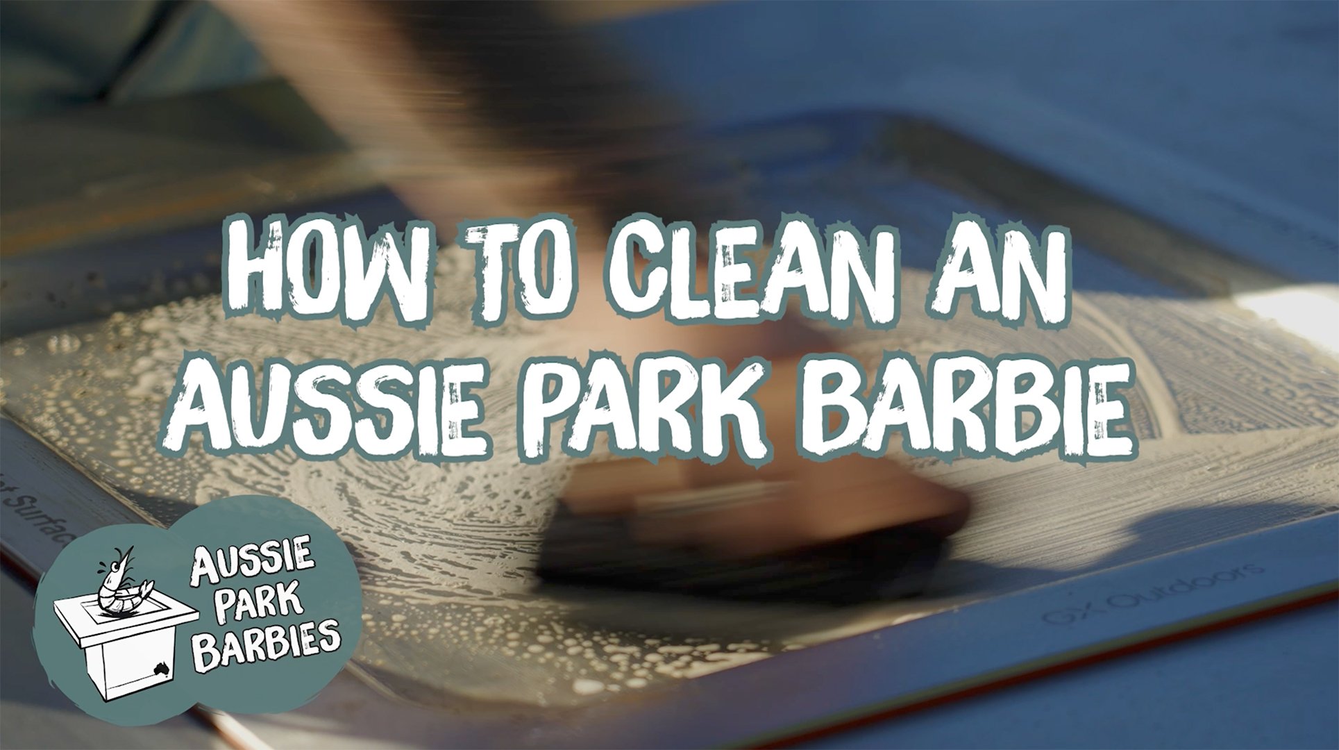 HOW TO CLEAN AN AUSSIE PARK BARBIE