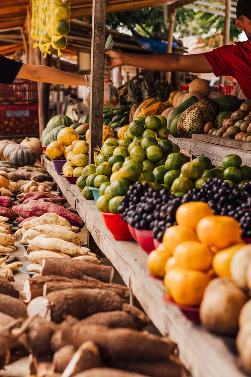 L'indépendance alimentaire en Martinique