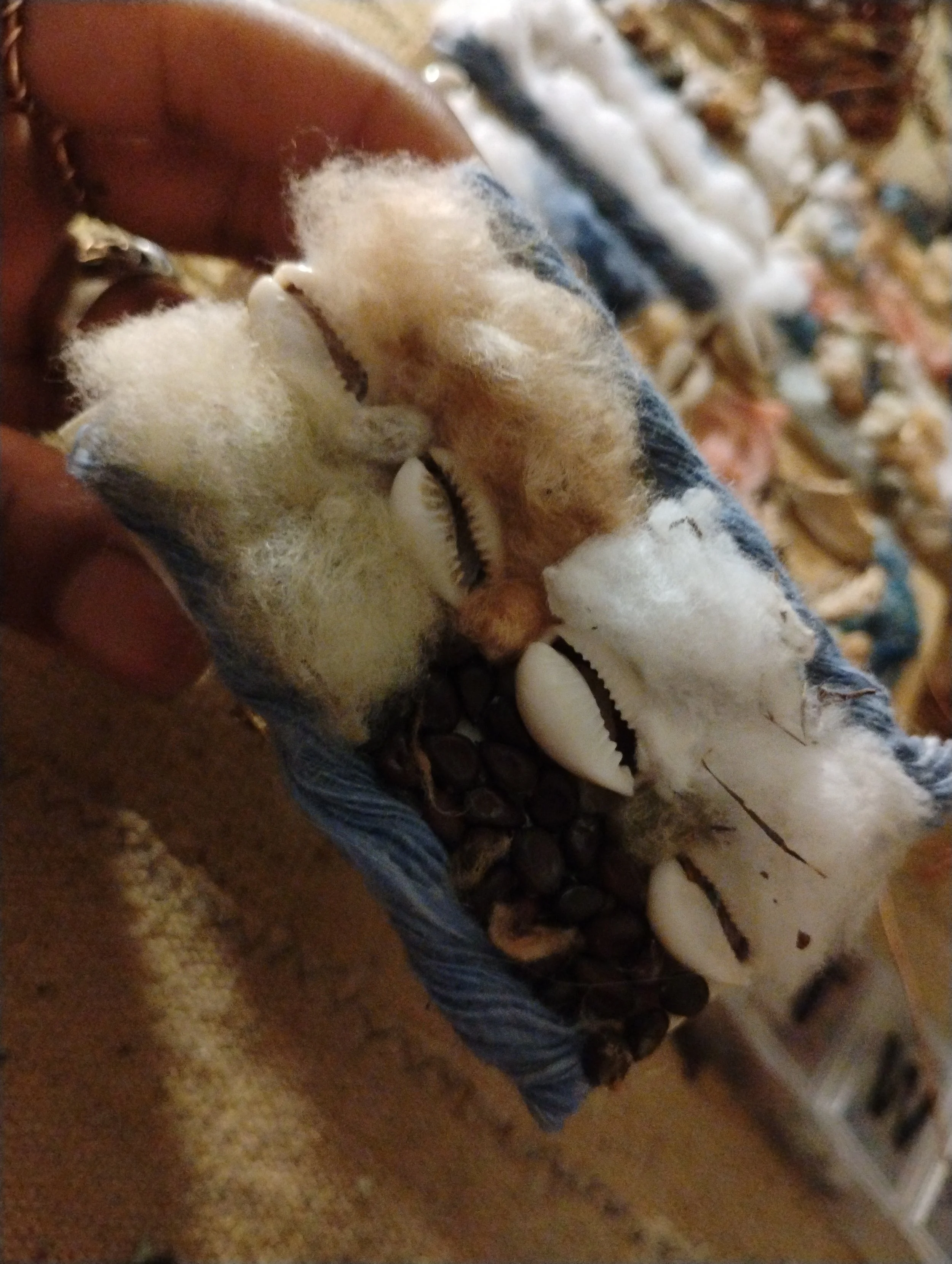 Cotton/Cowrie Gift Box