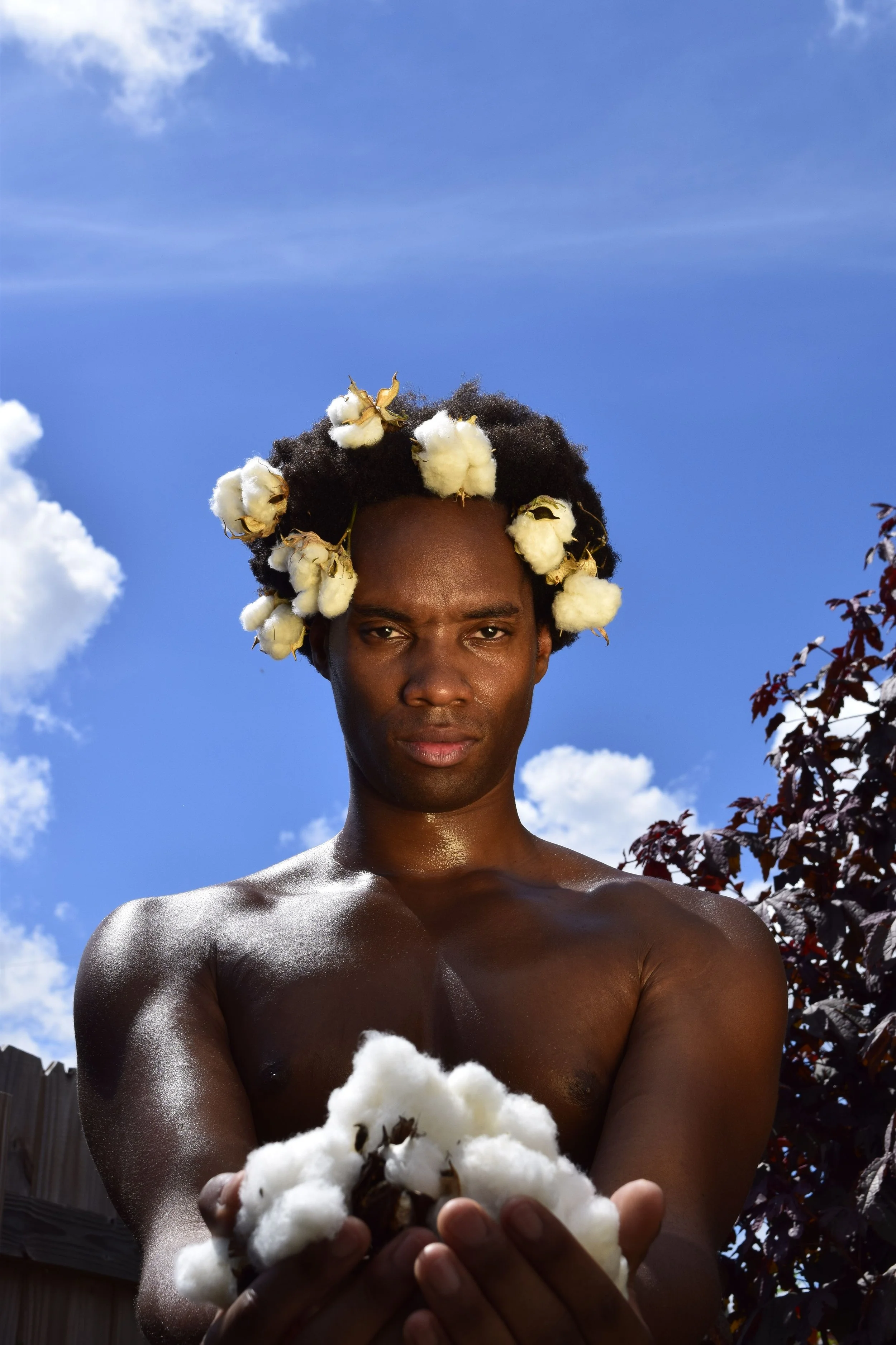 $100 Cotton Dollar Donation 🙏🏾 (Love Offering/Support/Energy)