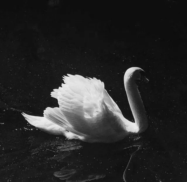 Late, But Right On Time