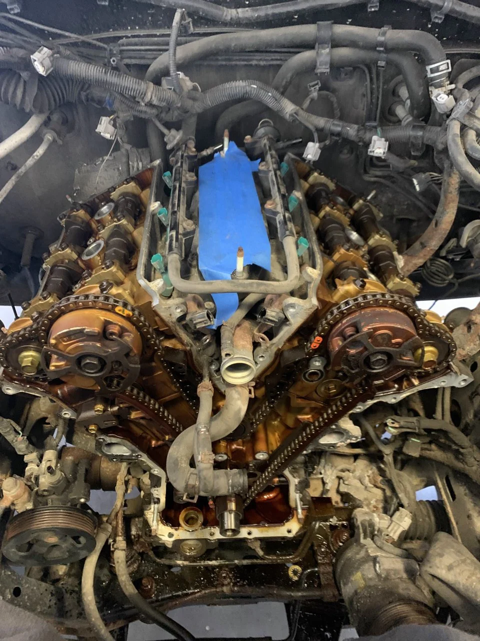 timing chain.jpg