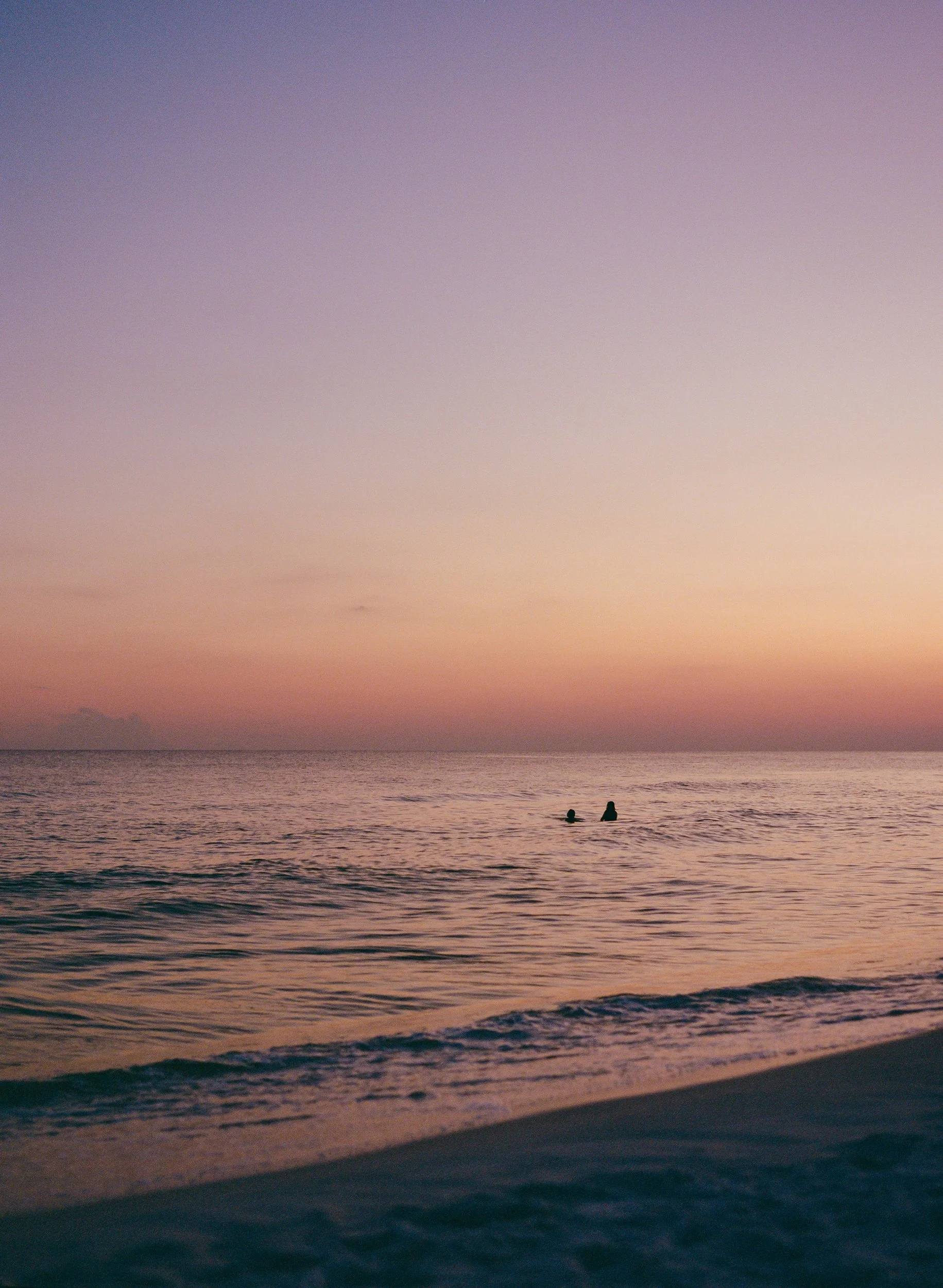 Sunset Swim III.jpg