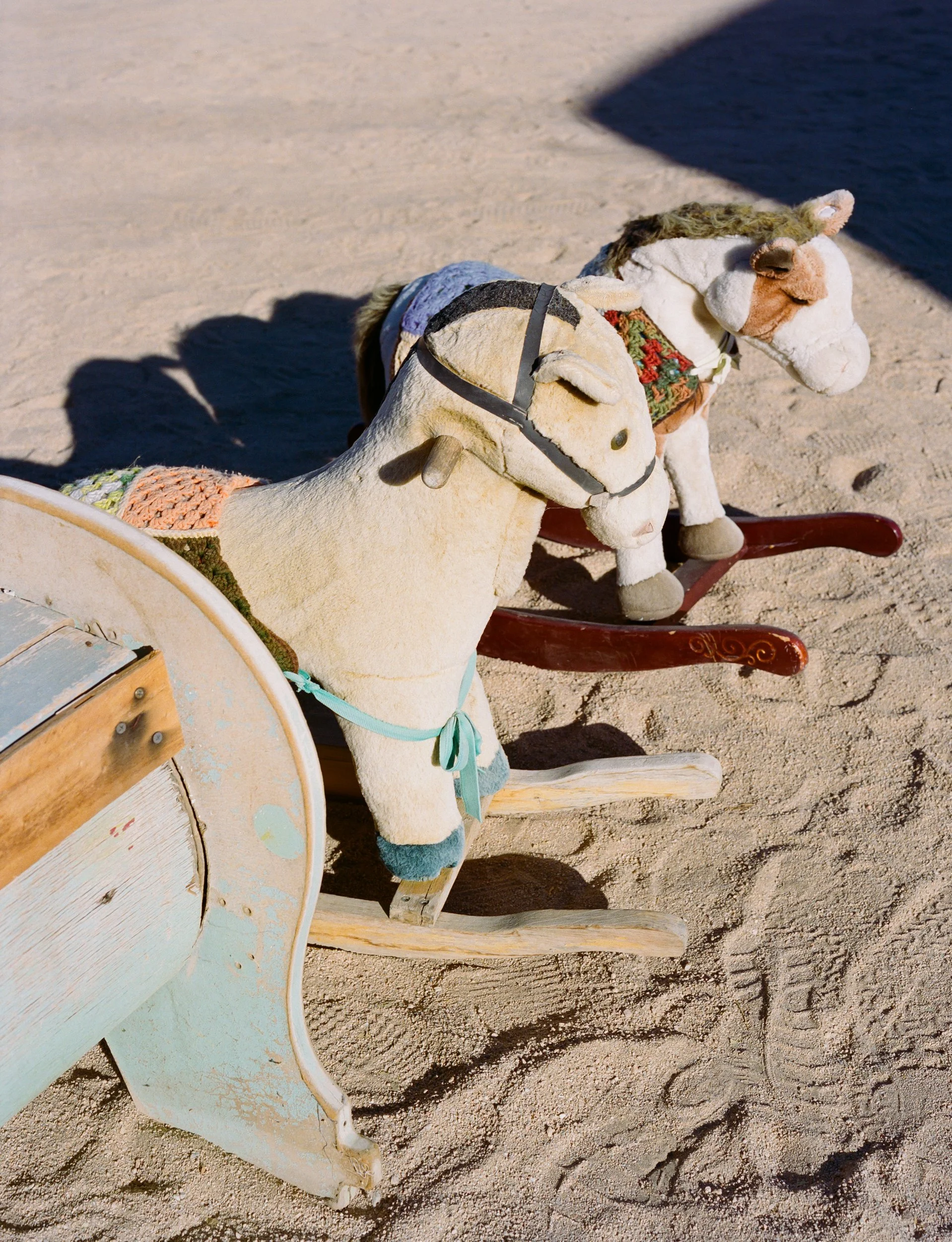 Joshua Tree California IV.jpg
