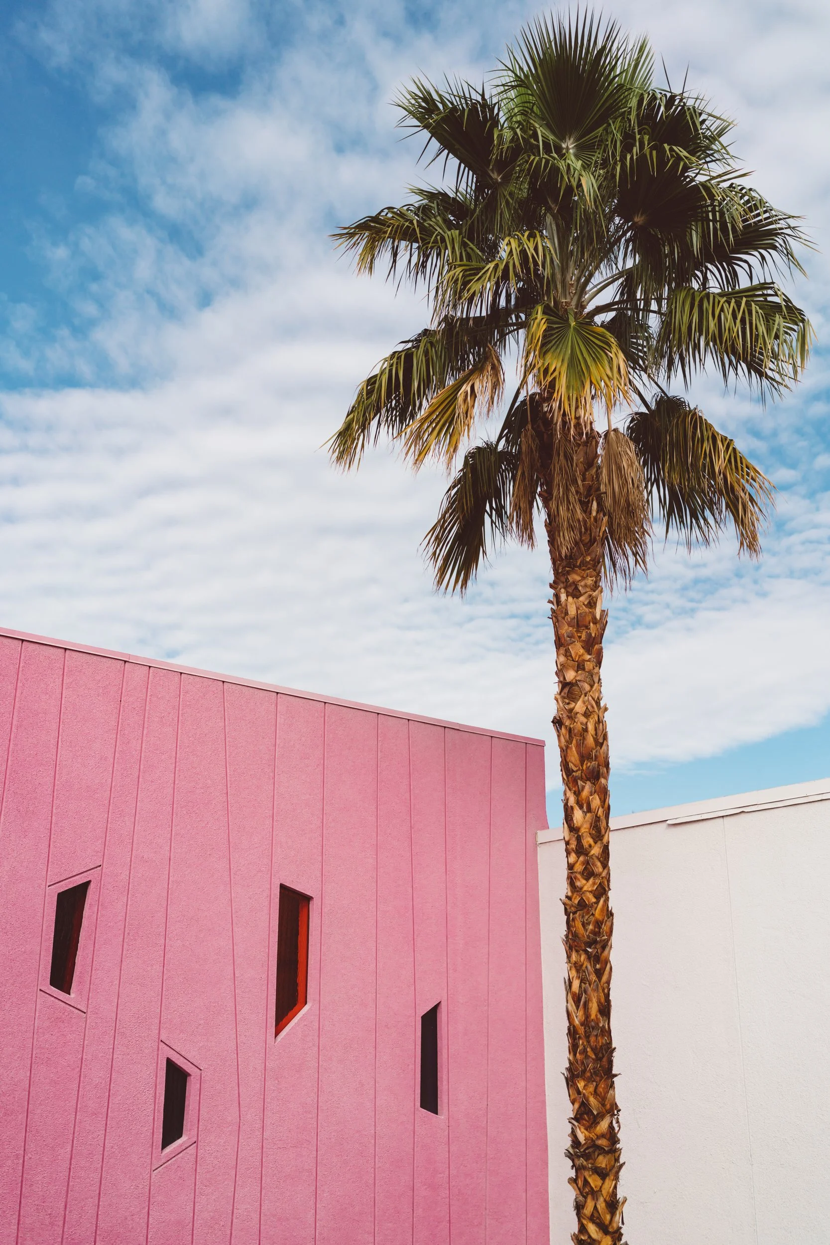 Palm Springs Vibes.jpg