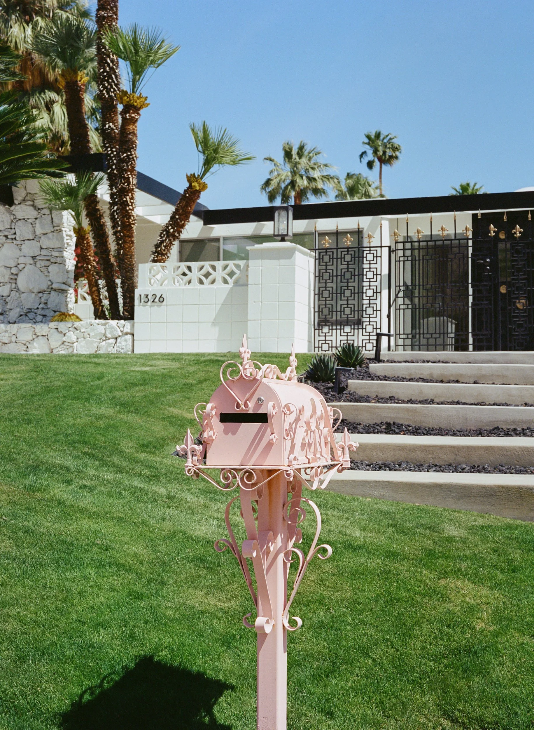 Pink Palm Springs II.jpg
