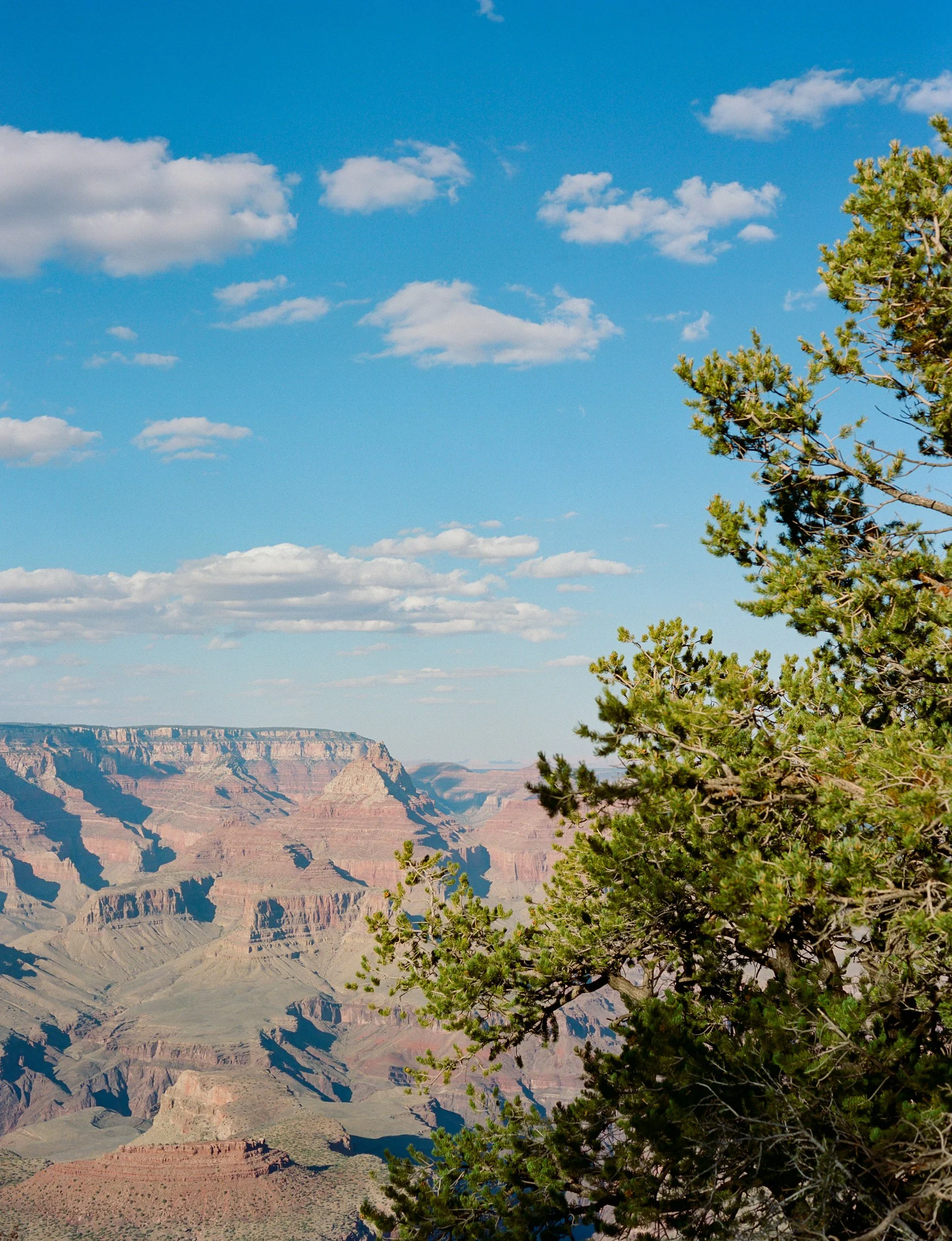Grand Canyon Shadows XI.jpg