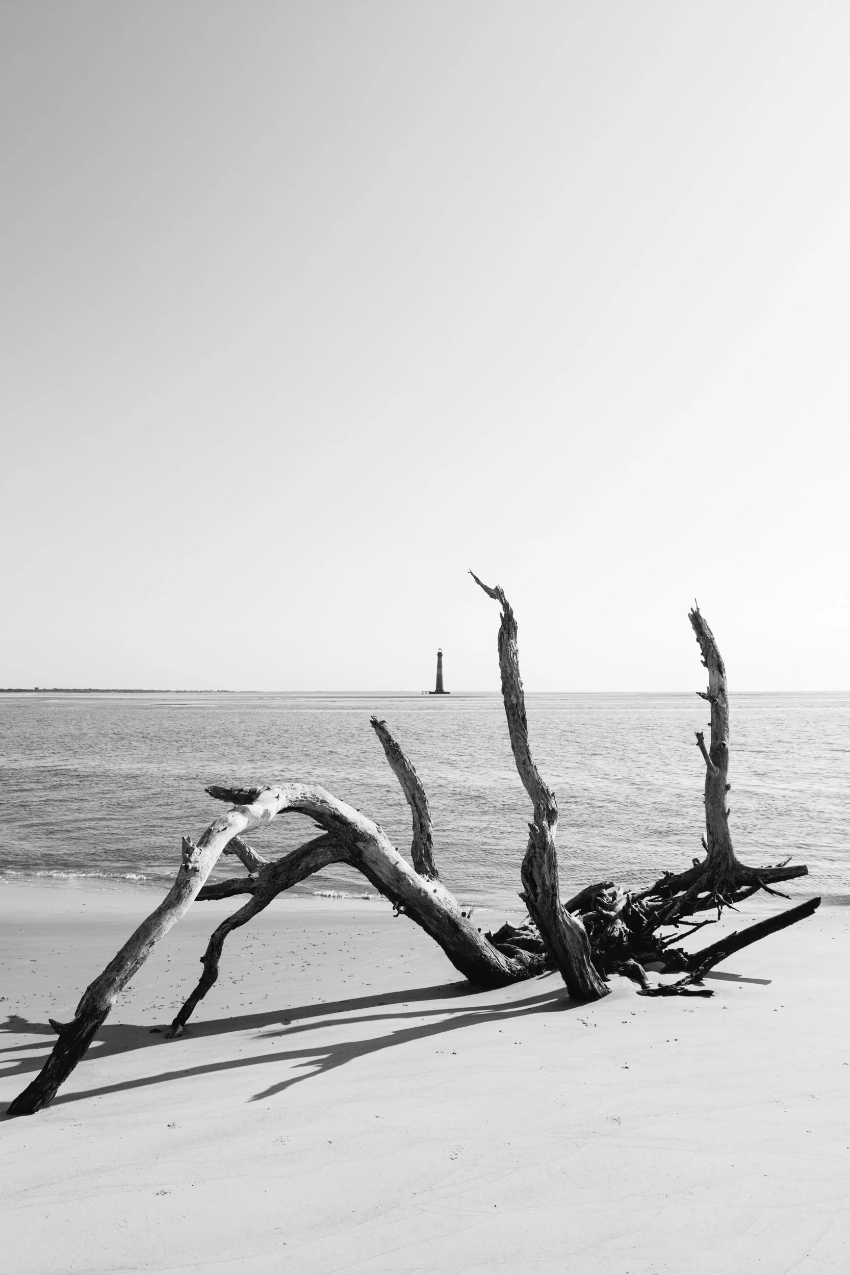 Sullivan's Island XIV.jpg