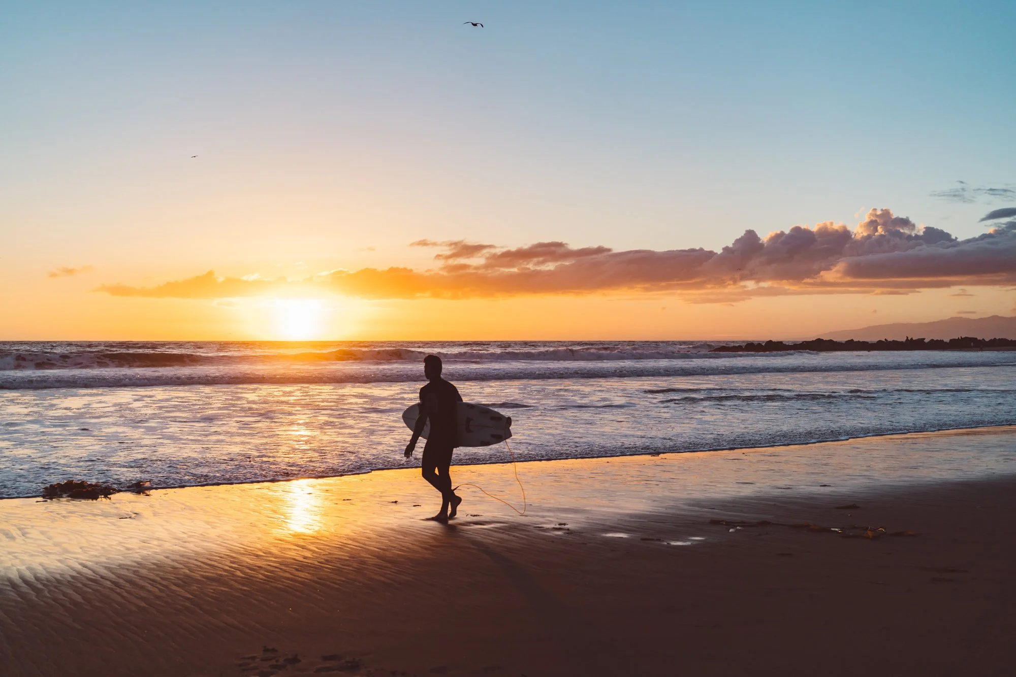 Venice Beach Surfer II.jpg