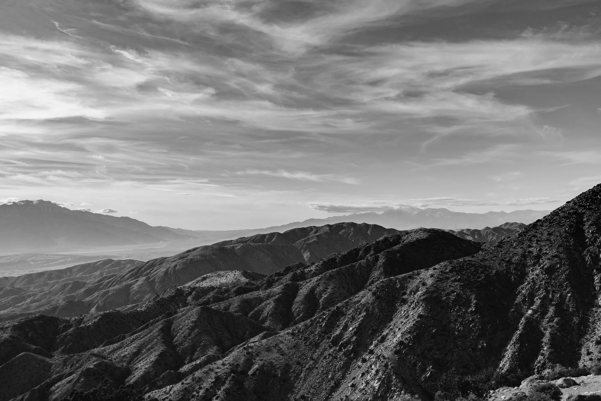 Joshua Tree National Park XXVII.jpg