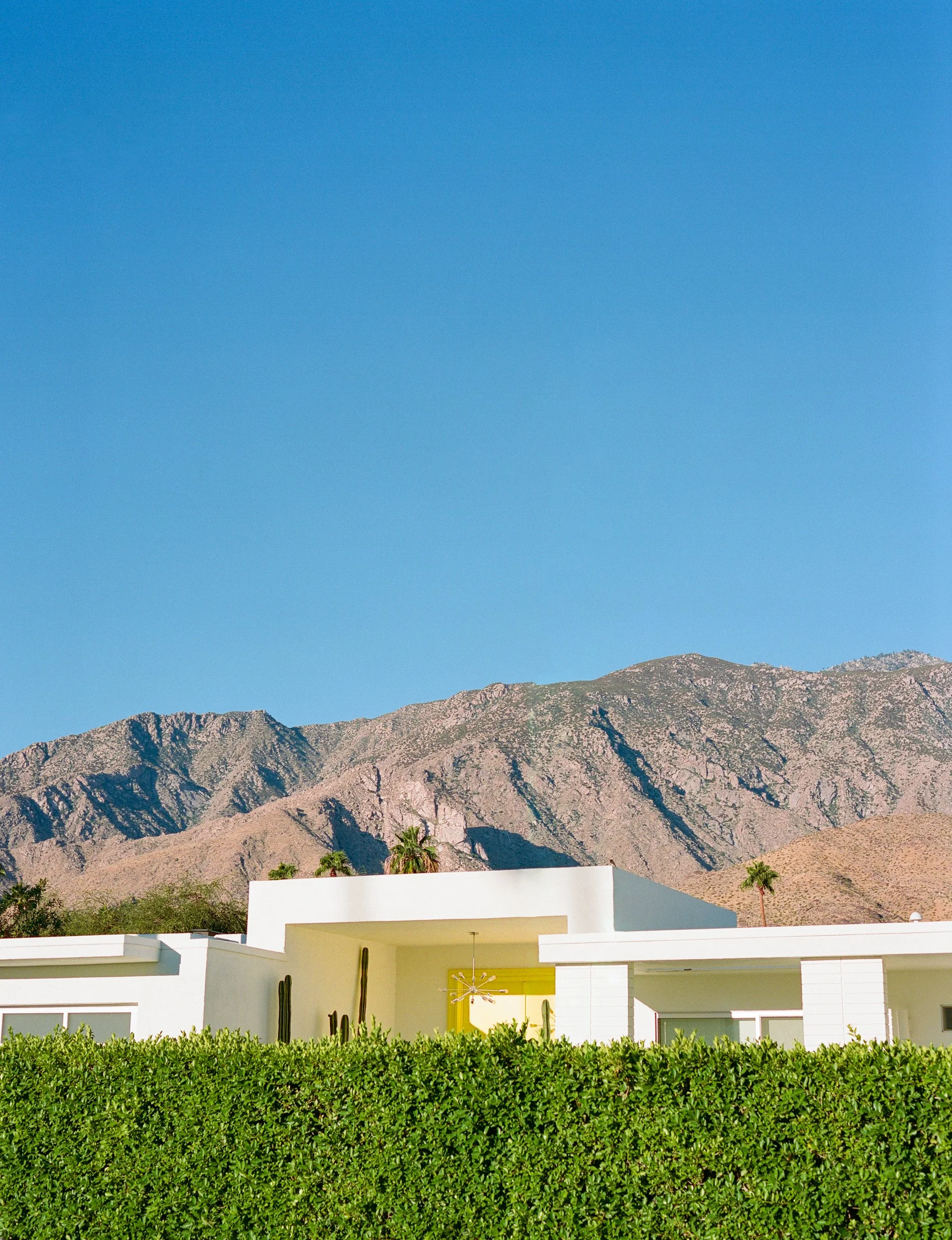 Palm Springs Architecture.jpg