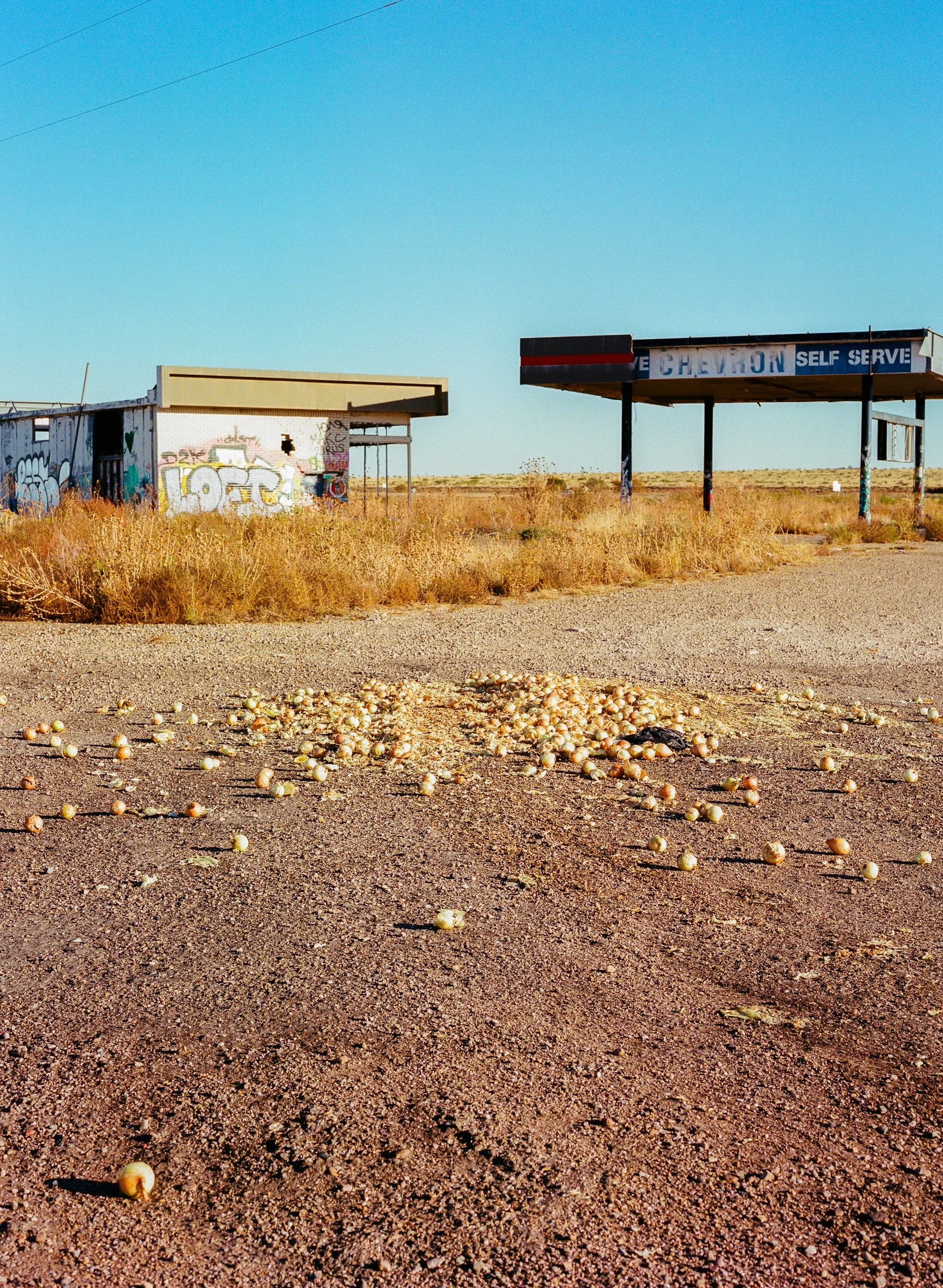 West Texas Onions.jpg