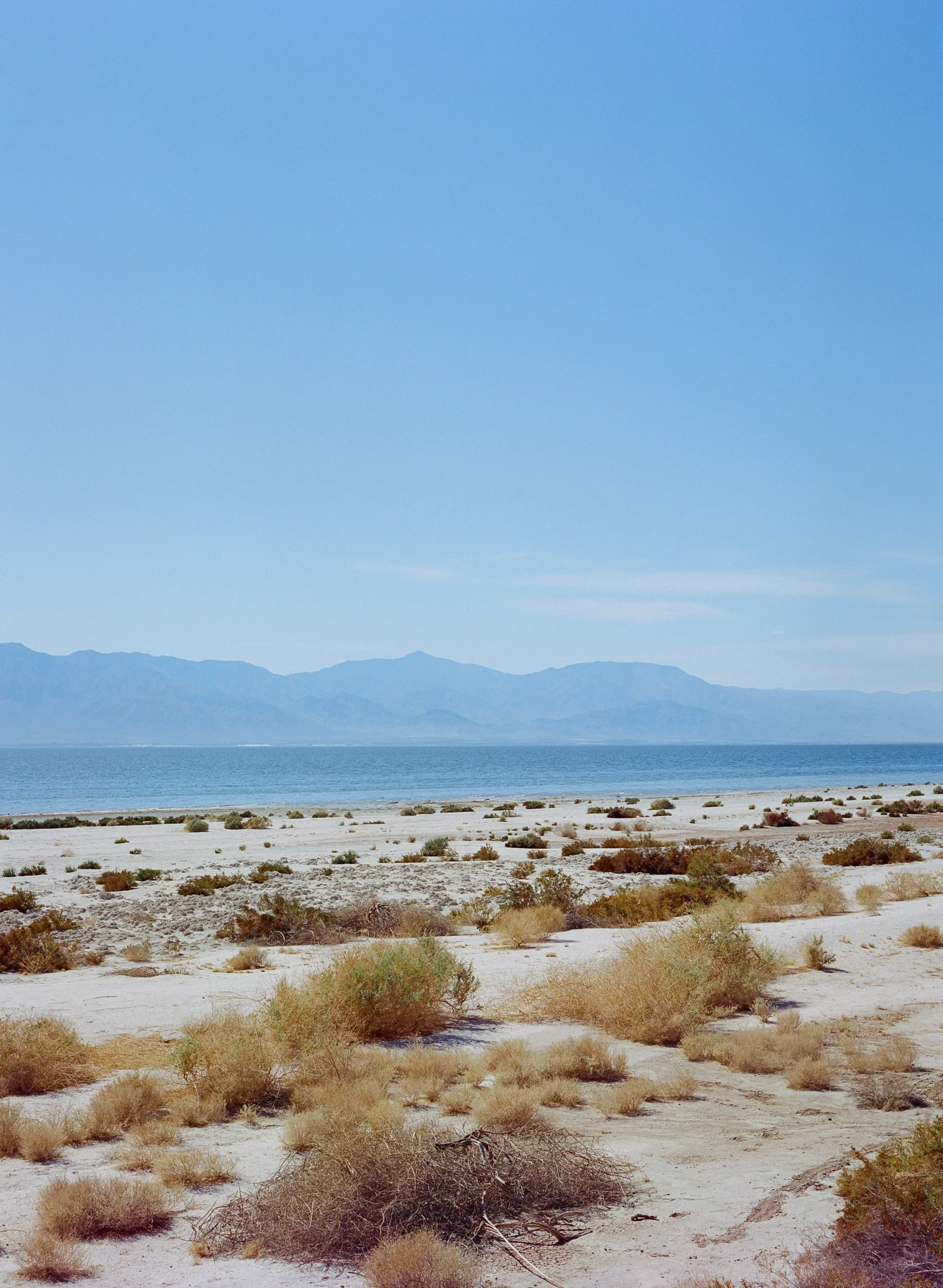 *Bombay Beach Spring II.jpg