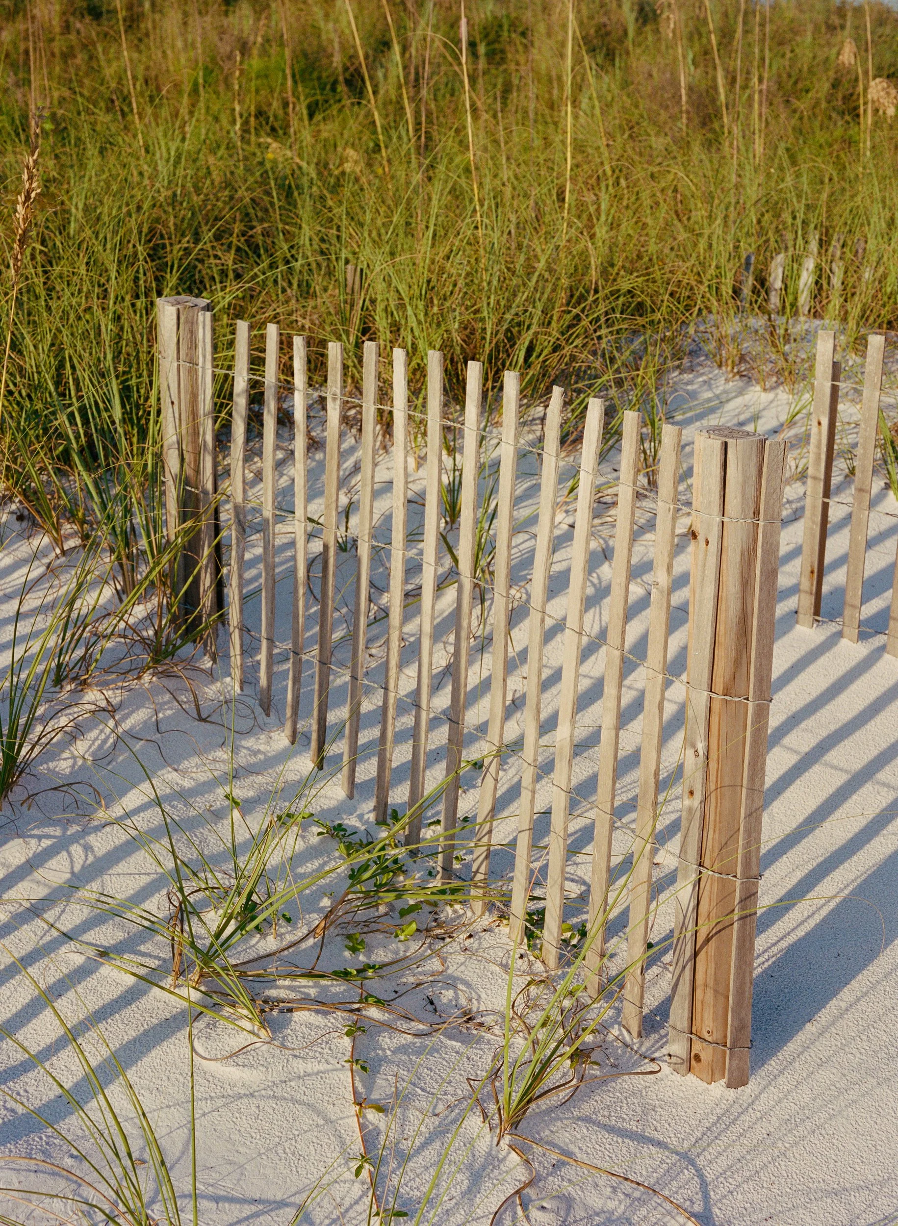 Walk on the Beach III.jpg