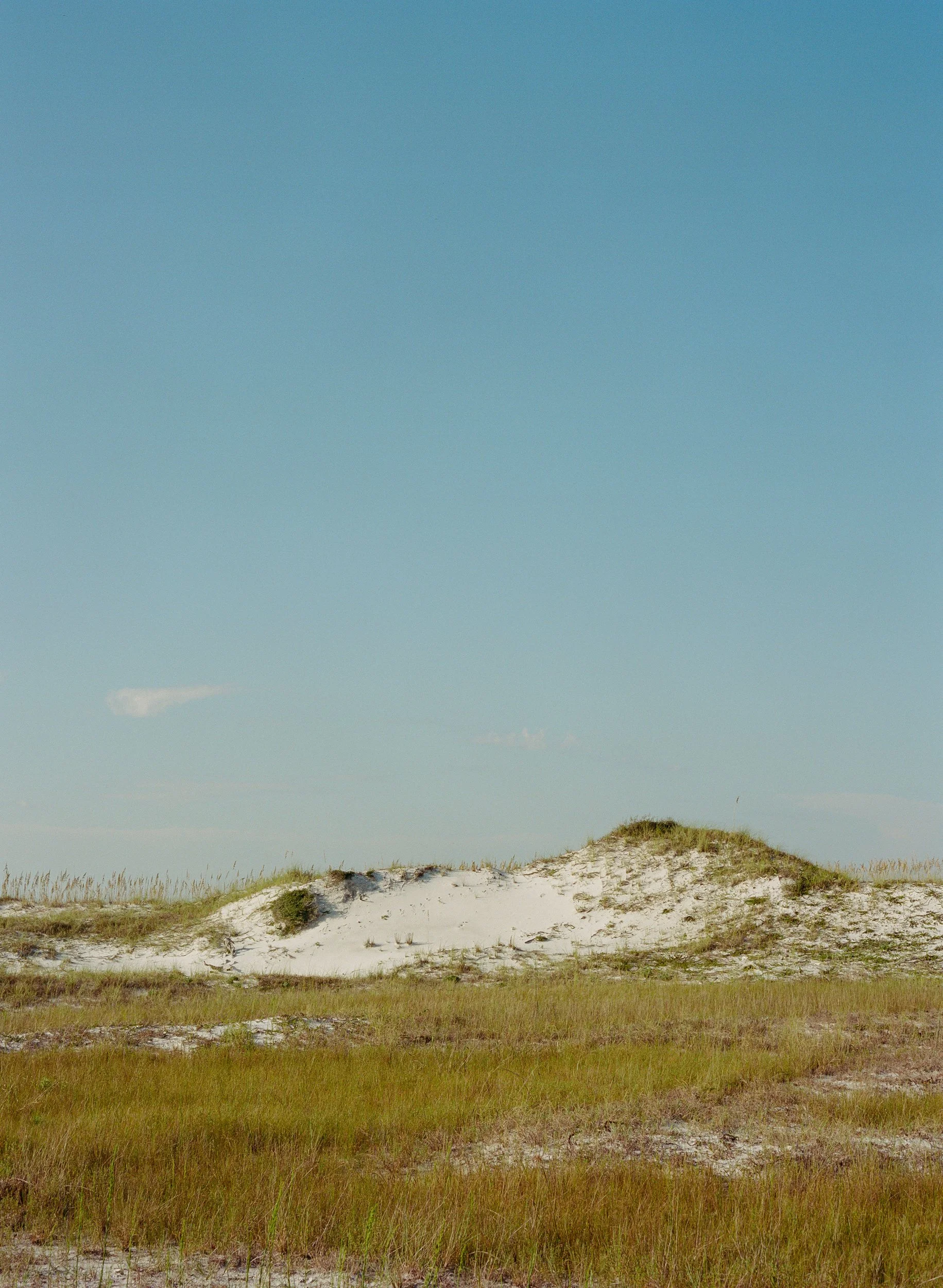 30A Dunes.jpg