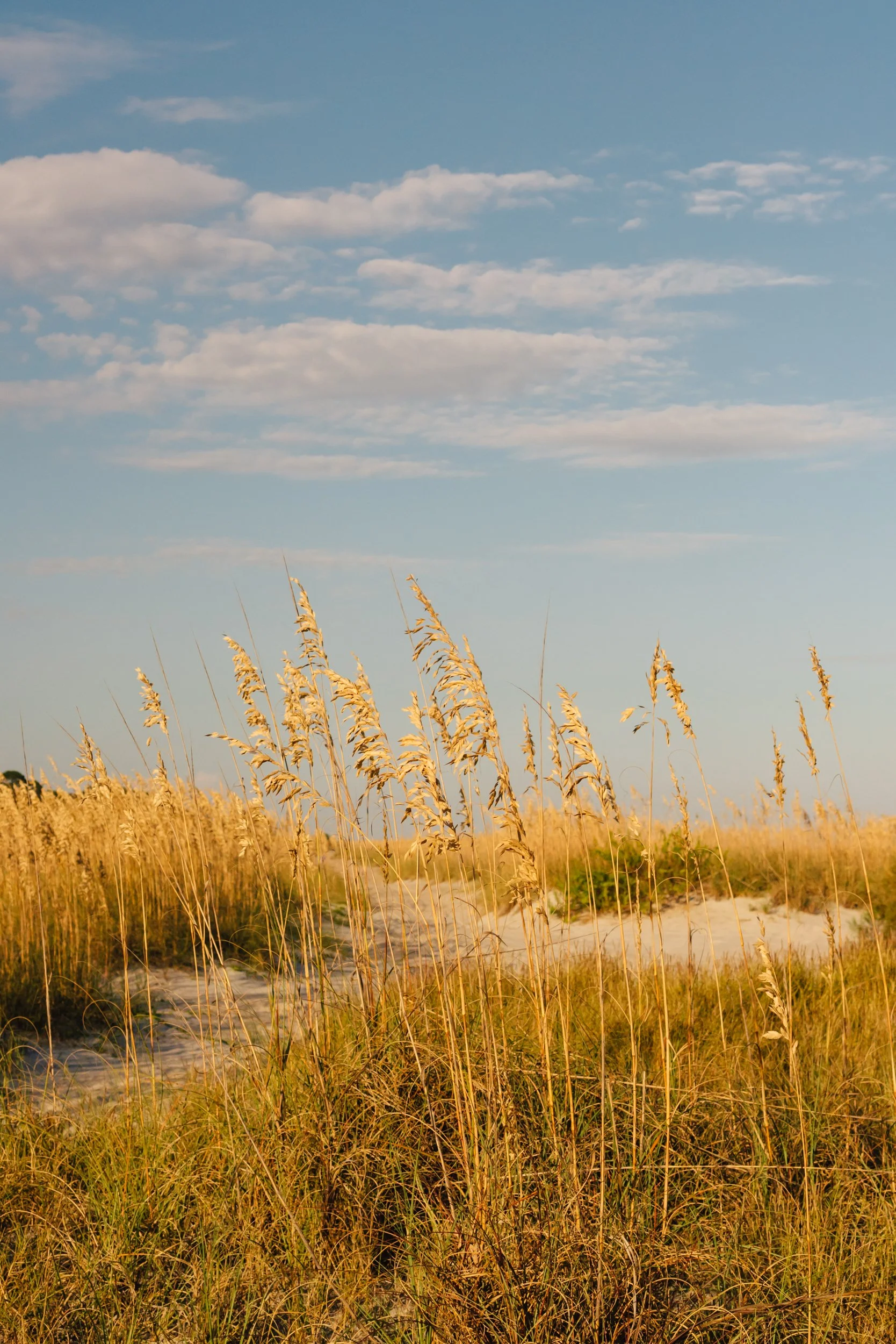 Hilton Head Island II.jpg