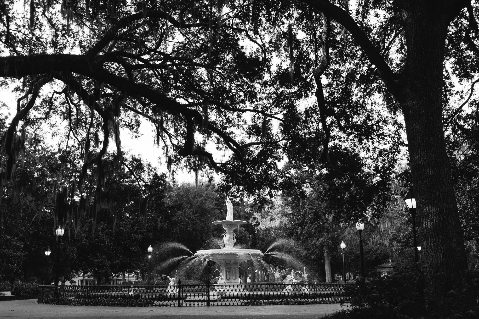 Savannah Forsyth Park IV.jpg