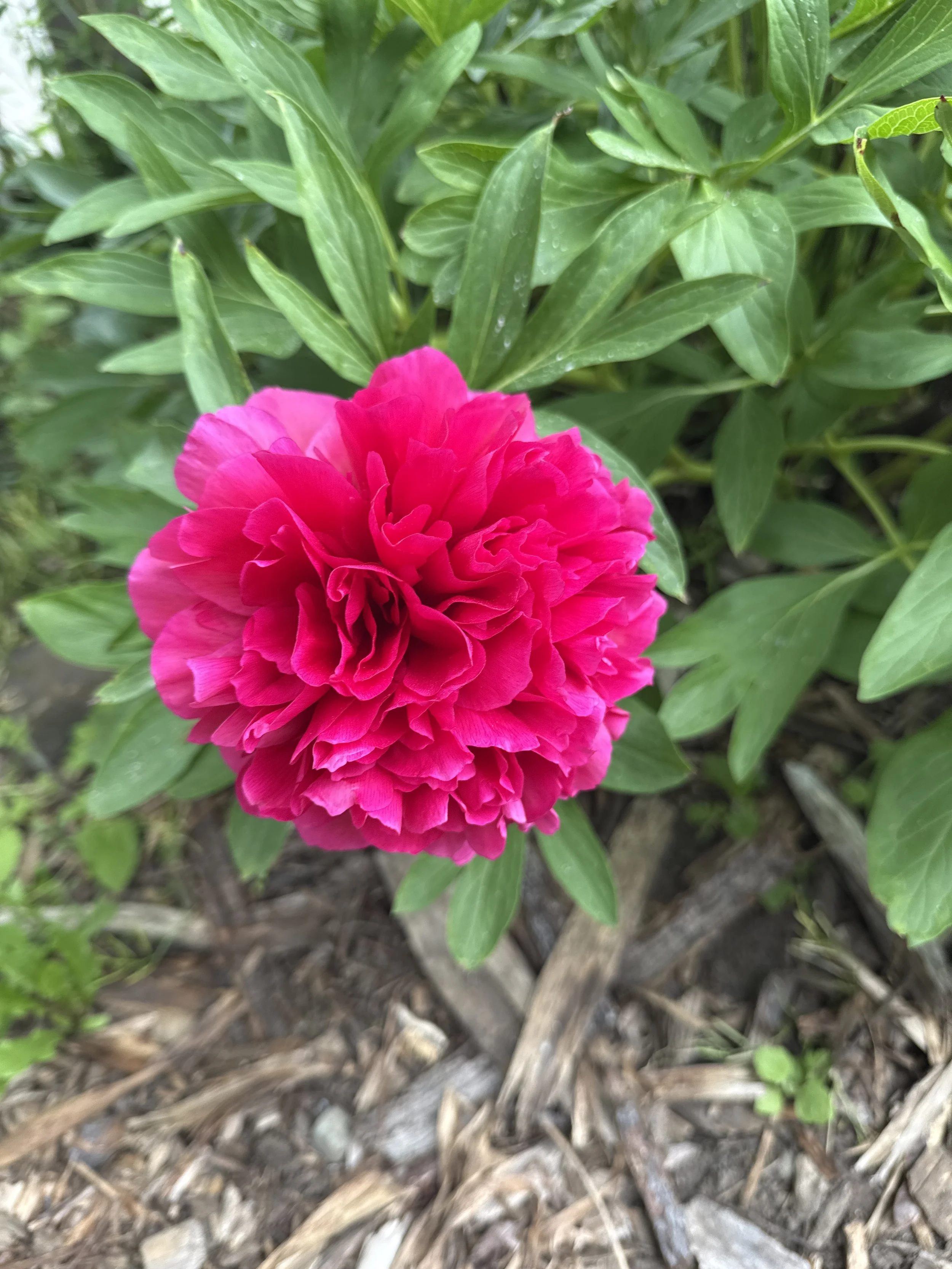 What Is Somatic Therapy, Really? (And Why Talking Isn't Always Enough)