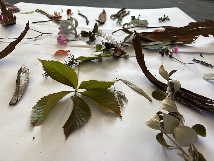 Various leaves, twigs, and flowers arranged on a white surface.