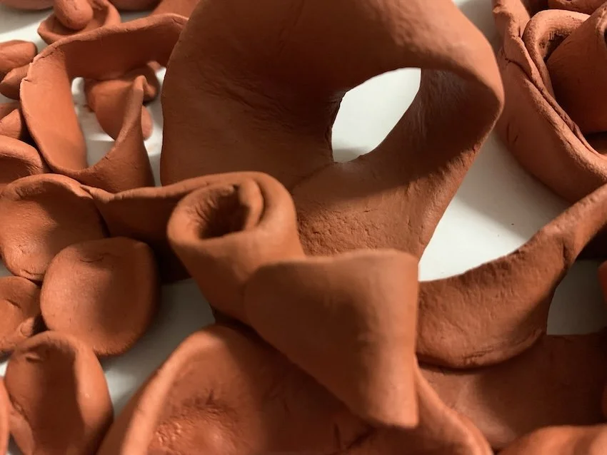 Close-up of coiled, reddish-brown clay pasta, possibly orecchiette or similar, on a white surface.