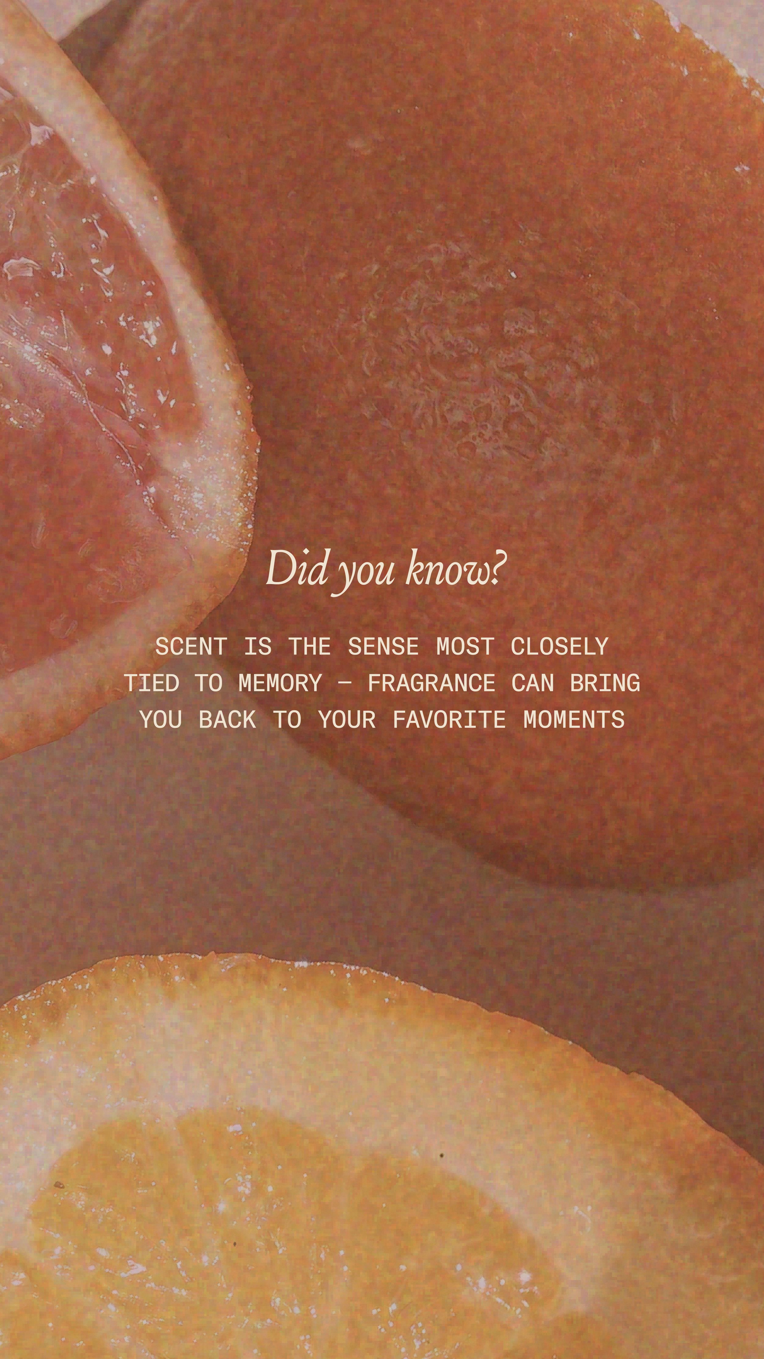 09_27_25_ScentMemory_D1-01.jpg