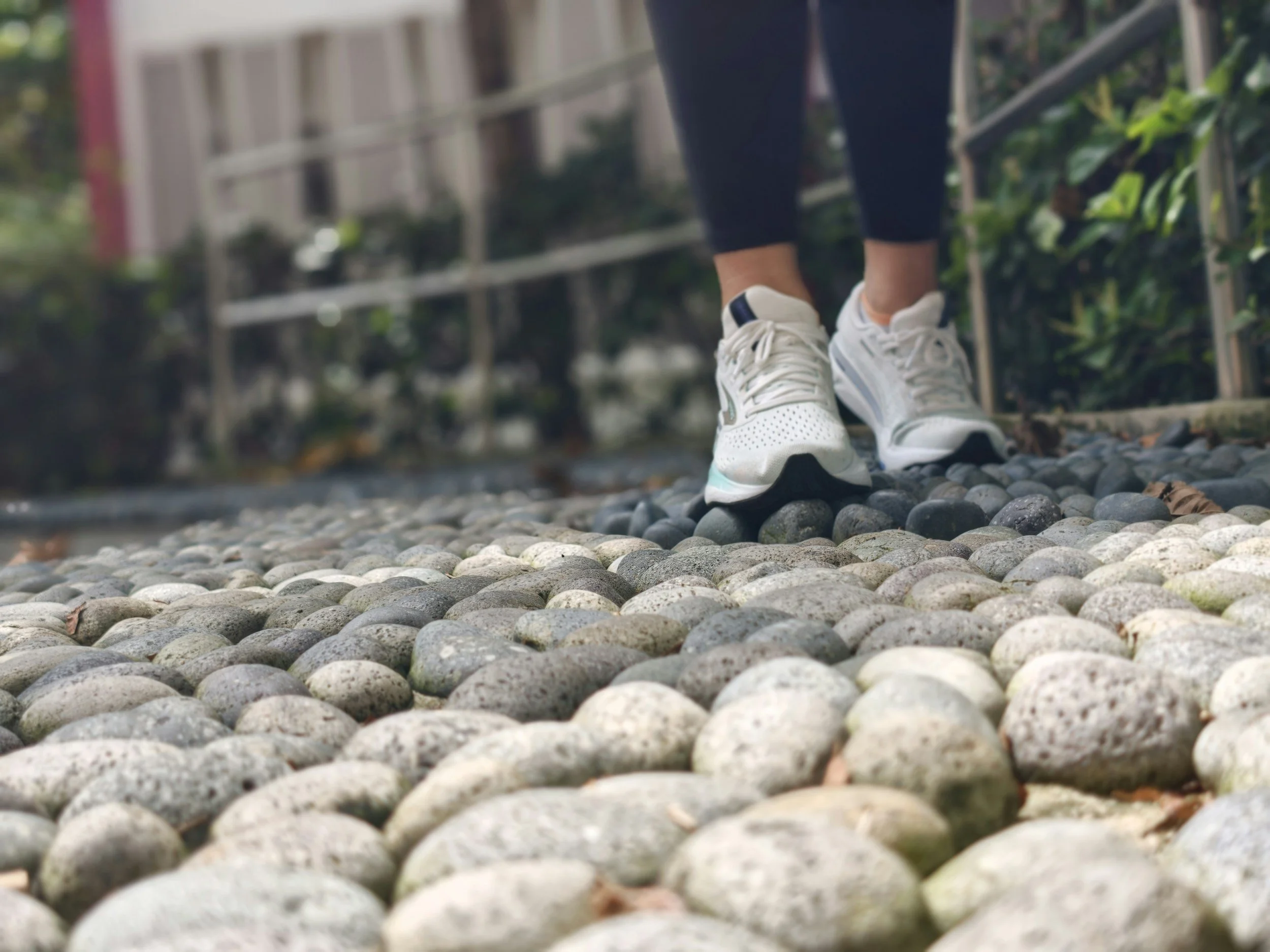 The Wellness Wheel Series: Physical Wellness and Mental Health