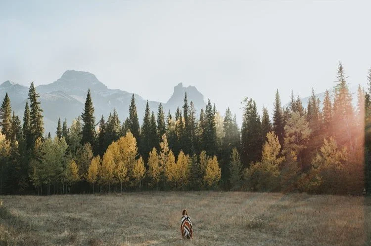 A person standing alone in an open field with trees and mountains in the background during sunset.